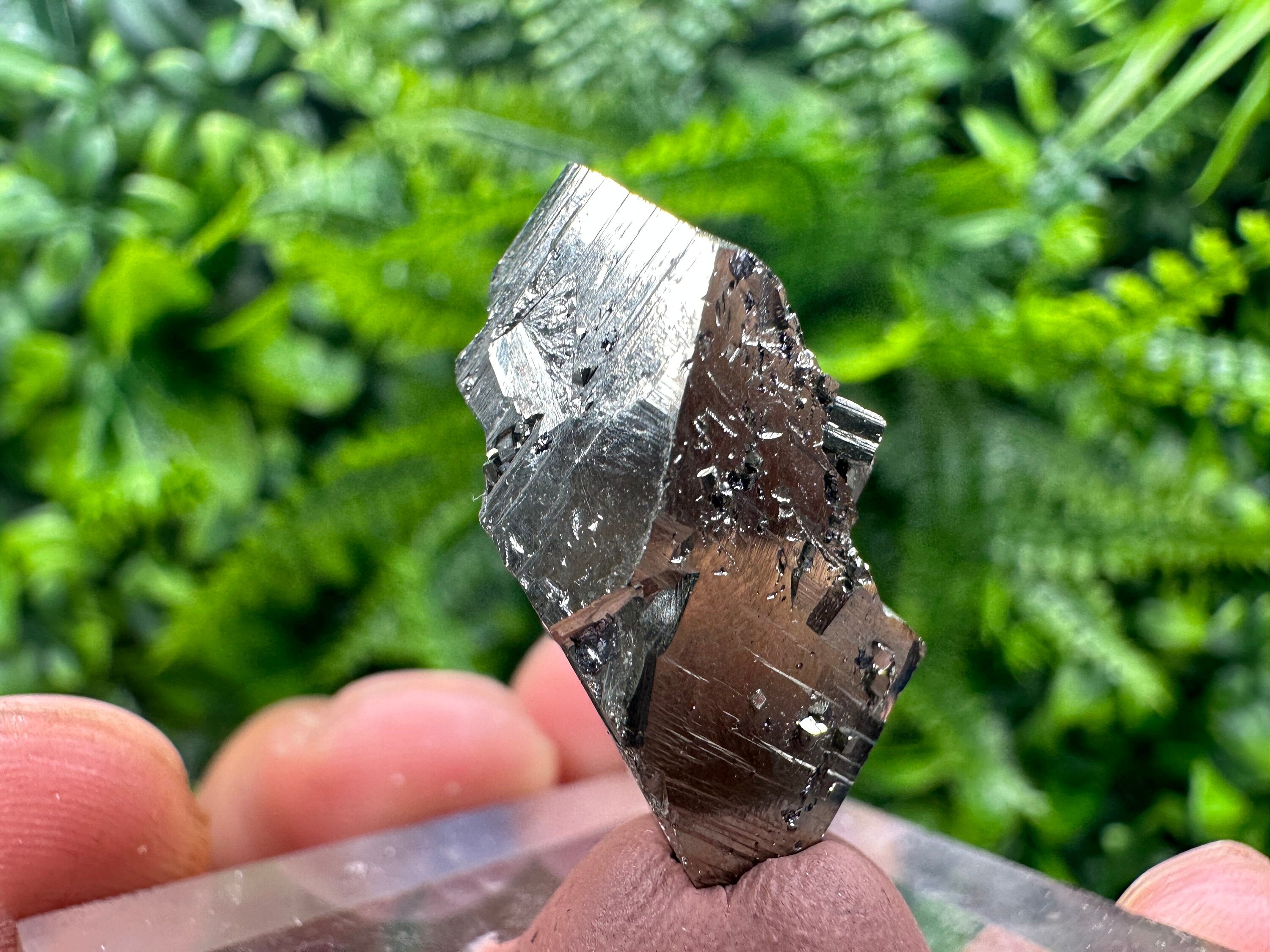 Rare Floating Pyrite Cluster, Borieva Mine, Home Decor Stone