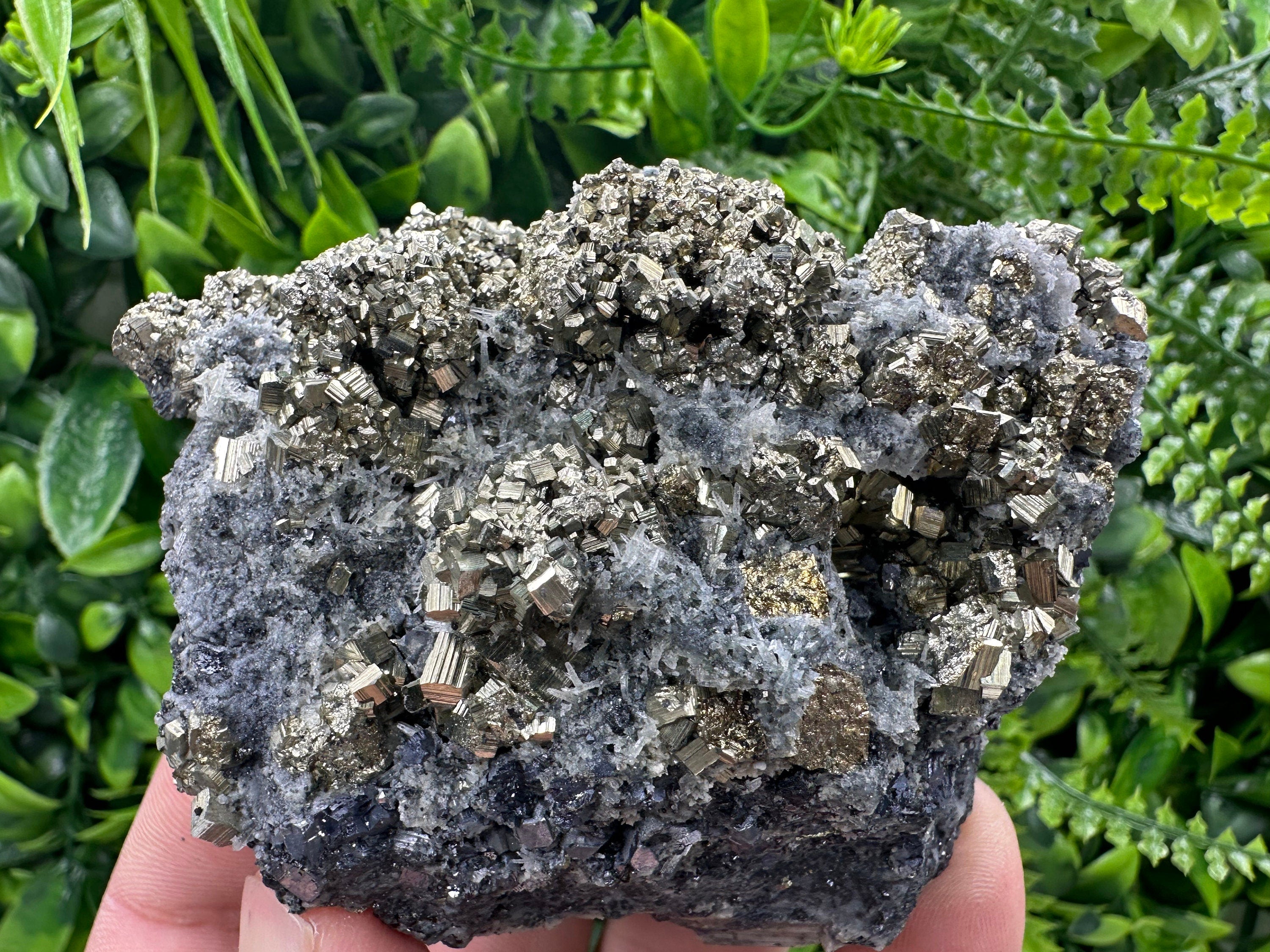 Pyrite on Quartz: Borieva Mine Crystal Decor (9/7/4.5cm)