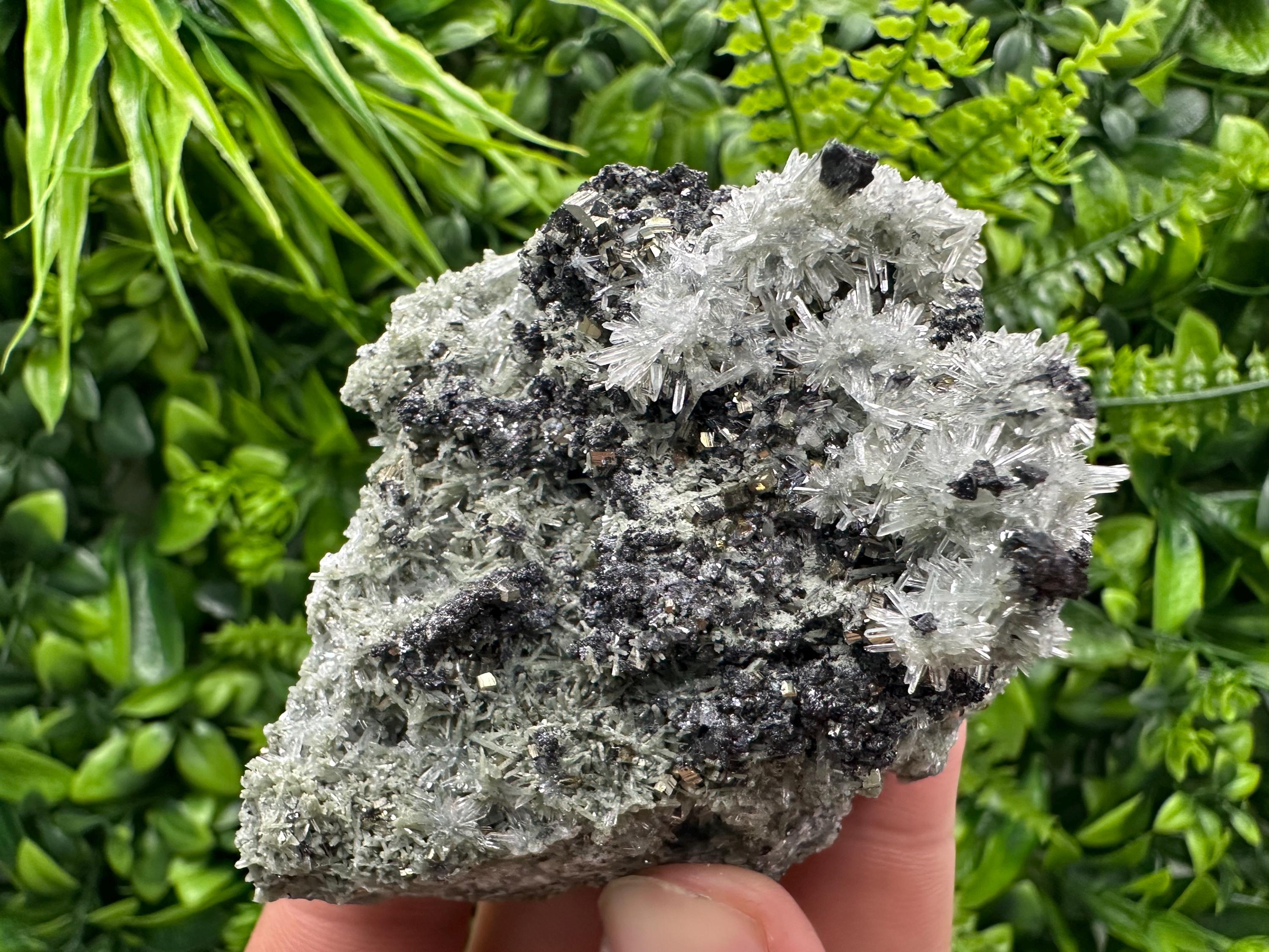 Sphalerite Pyrite on Quartz with Chlorite, Borieva Mine Mineral Specimen