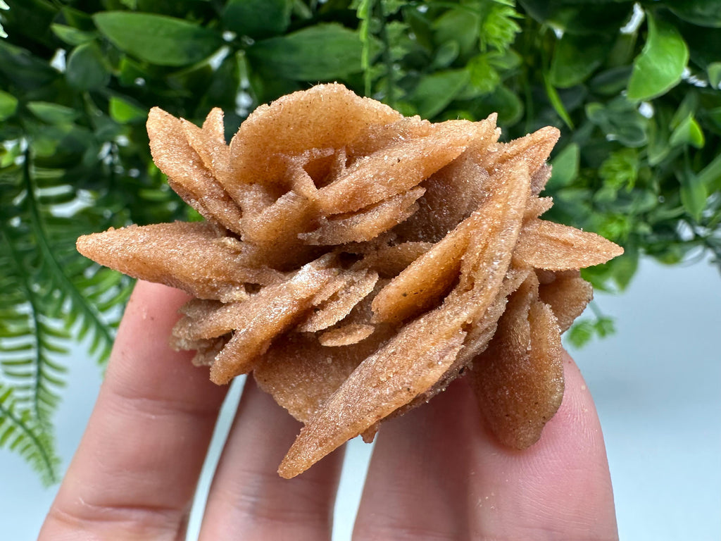 Natural Desert Rose Crystal – Root Chakra Healing Brown Selenite Stone