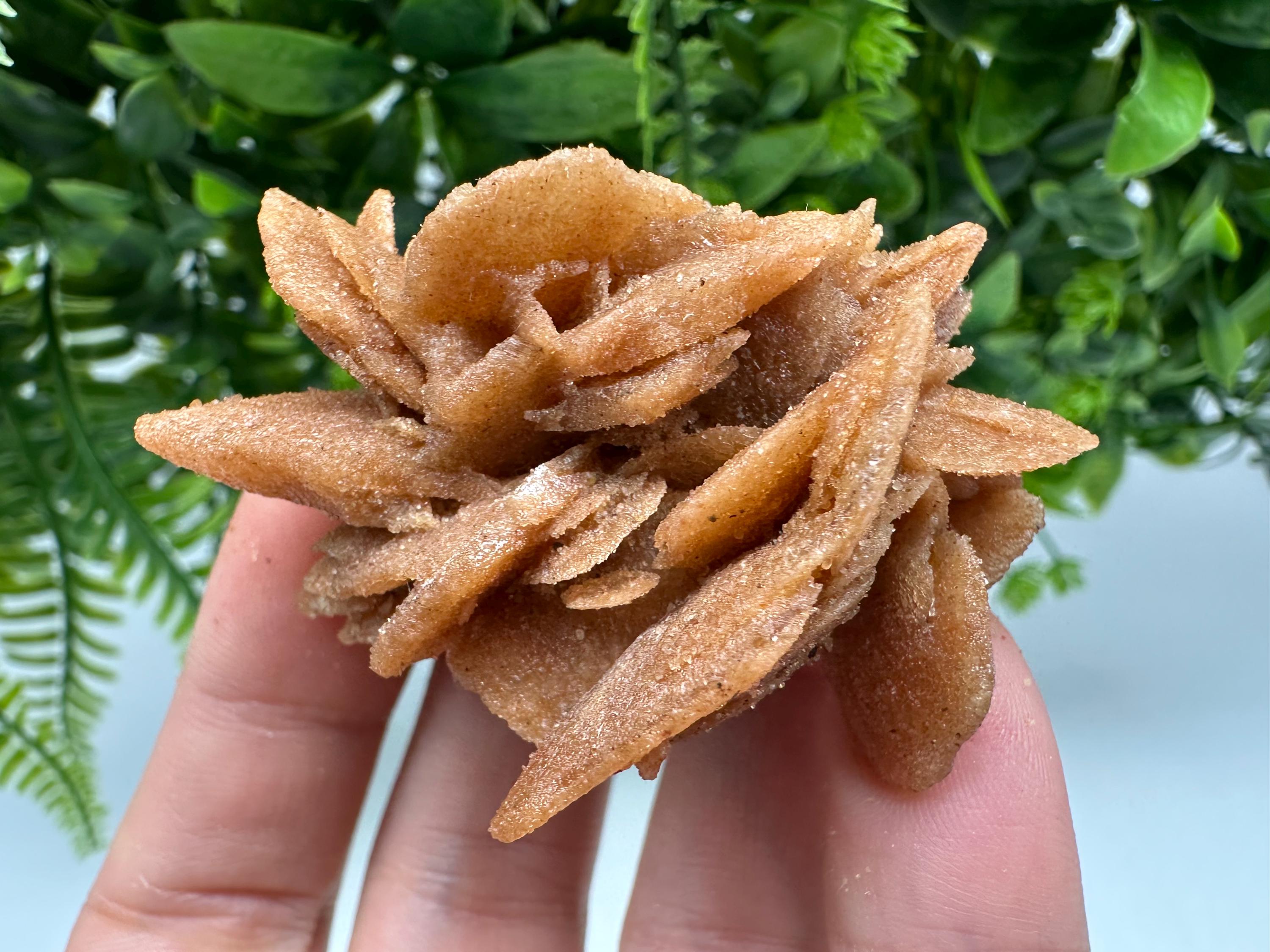 Natural Desert Rose Crystal – Root Chakra Healing Brown Selenite Stone