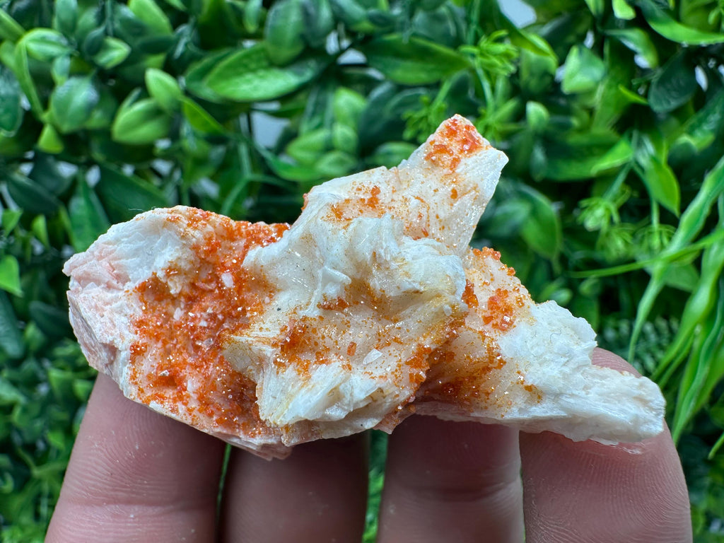 Red Vanadinite on Barite, Moroccan Crystal Cluster