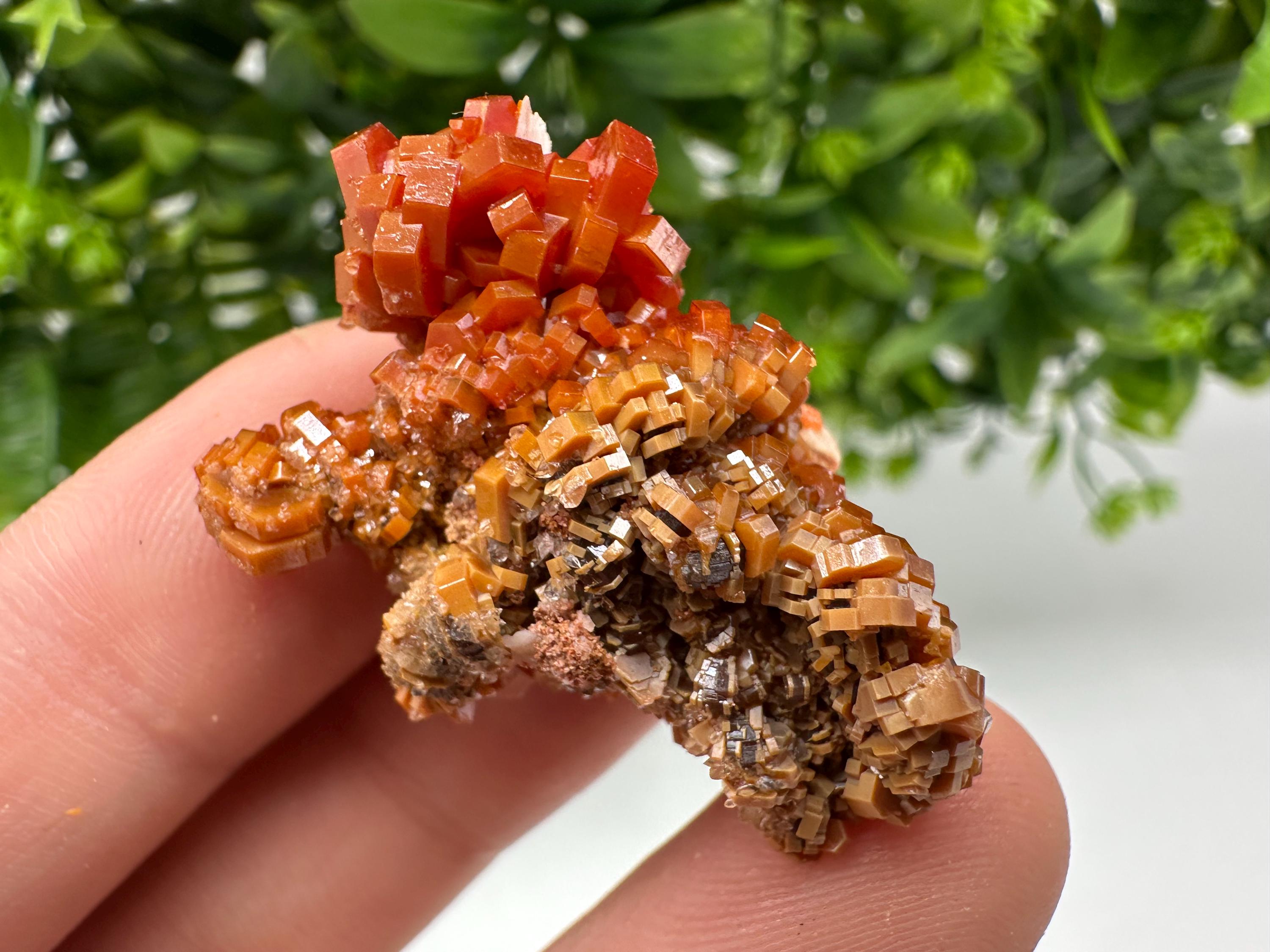 Red Vanadinite on Barite Specimen, Morocco Crystal Cluster