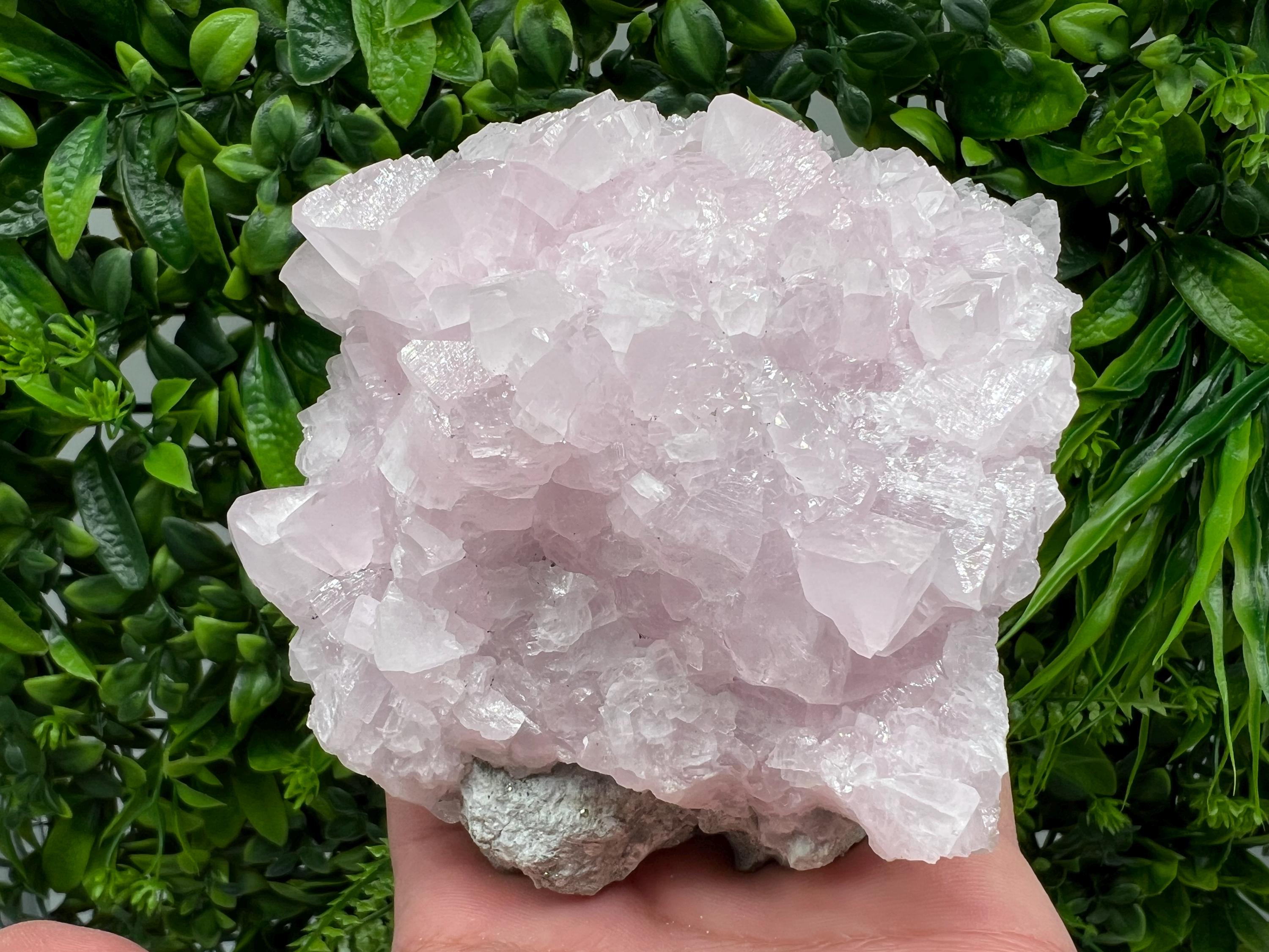 UV Reactive Mangano Calcite Crystal: Androvo Mine Bulgaria