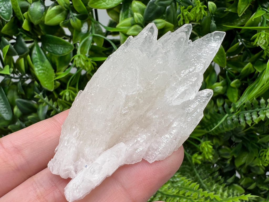 Calcite on Green Quartz: Djurcovo Mine, Bulgaria - Healing Crystal