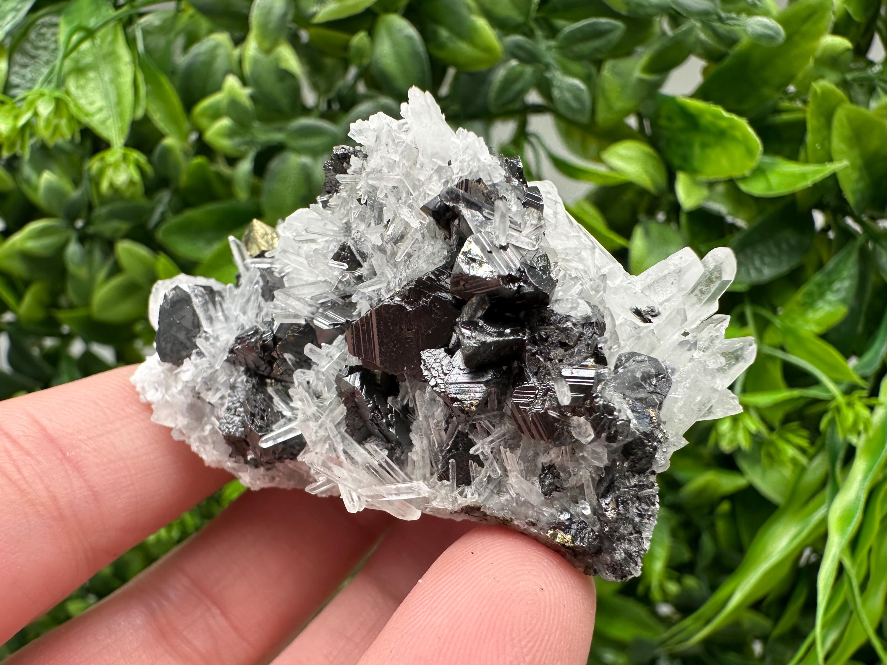 Wonderful Sphalerite Chalcopyrite on  Quartz whit Galena feom 9 th September mine,Bulgaria,natural,collection mineral specimen,gift