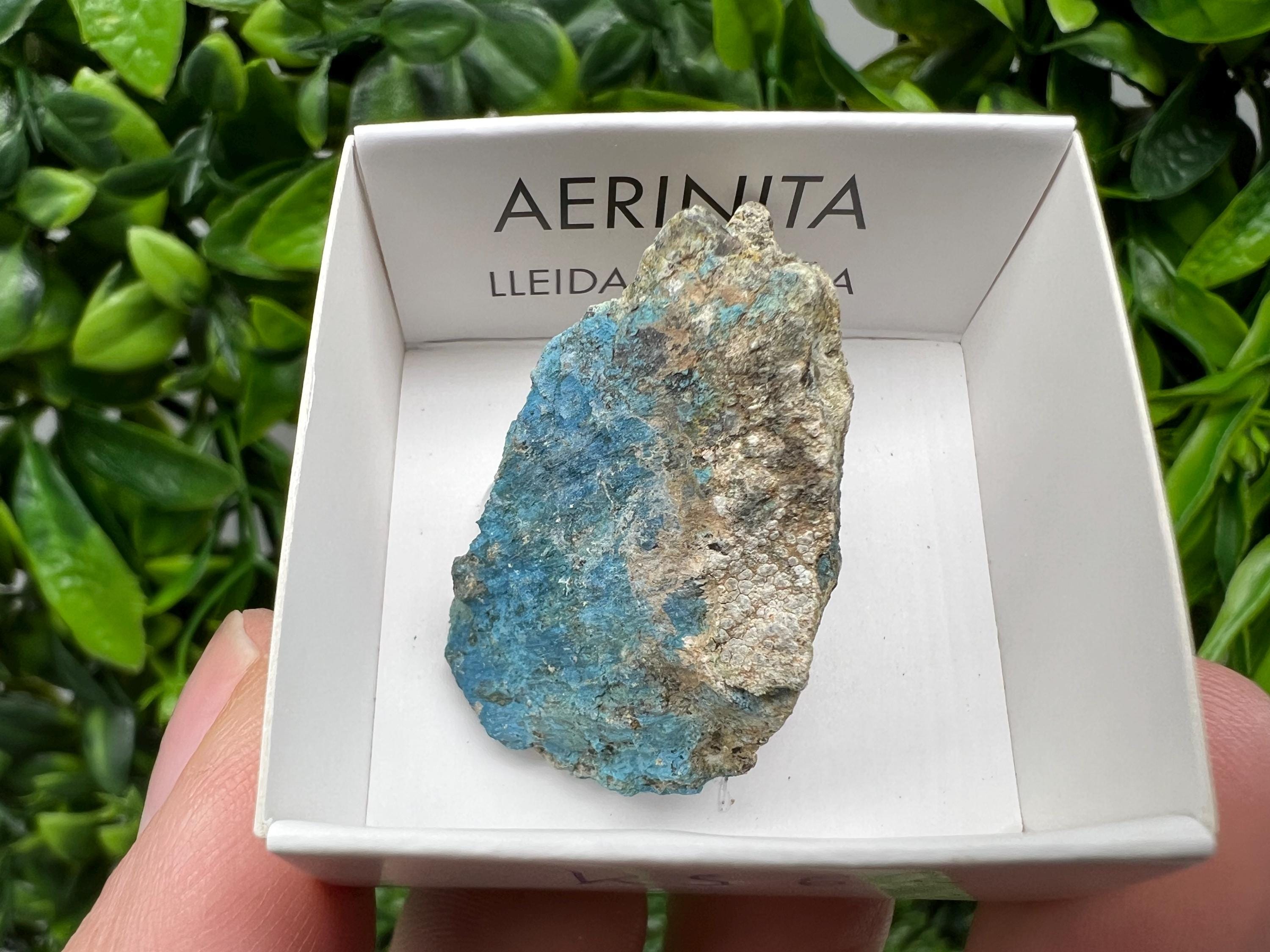 Rare Raw Aerinite Mineral Specimen: Lleida, Spain Crystal Collection