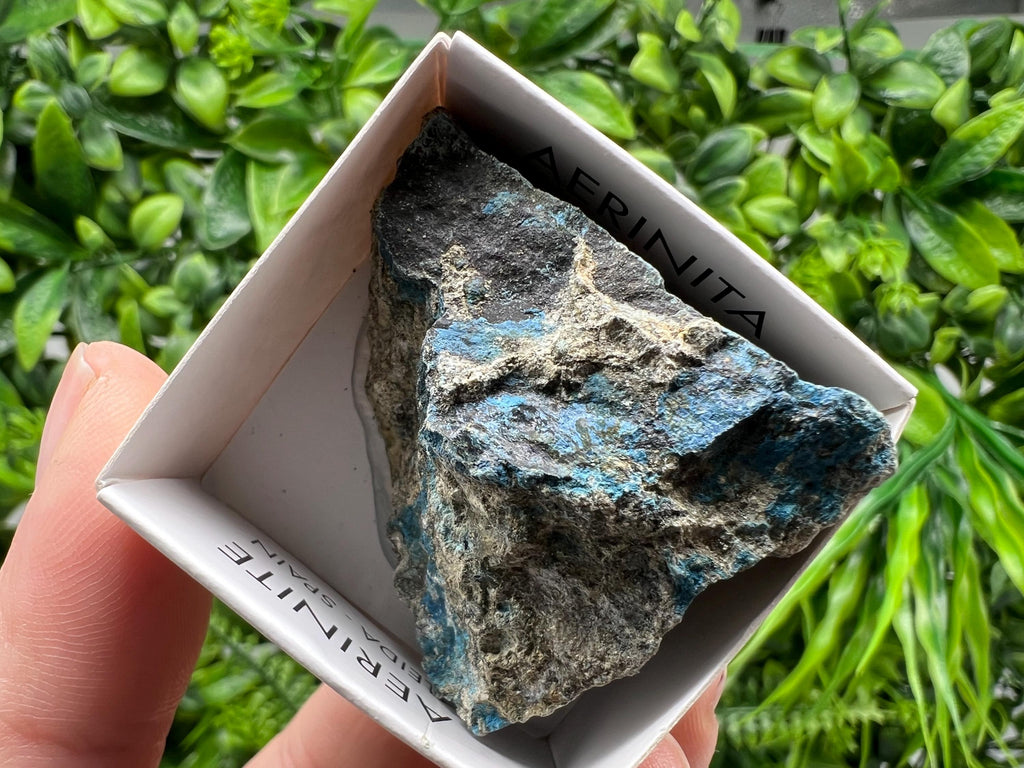 Rare Raw Aerinite Specimen: Lleida Spain Mineral Collection (4.5/4 CM)