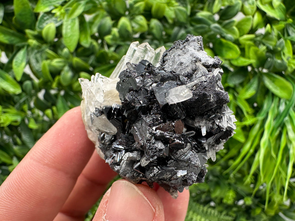 Wonderful Sphalerite Chalcopyrite on  Quartz whit Galena feom 9 th September mine,Bulgaria,natural,collection mineral specimen,gift