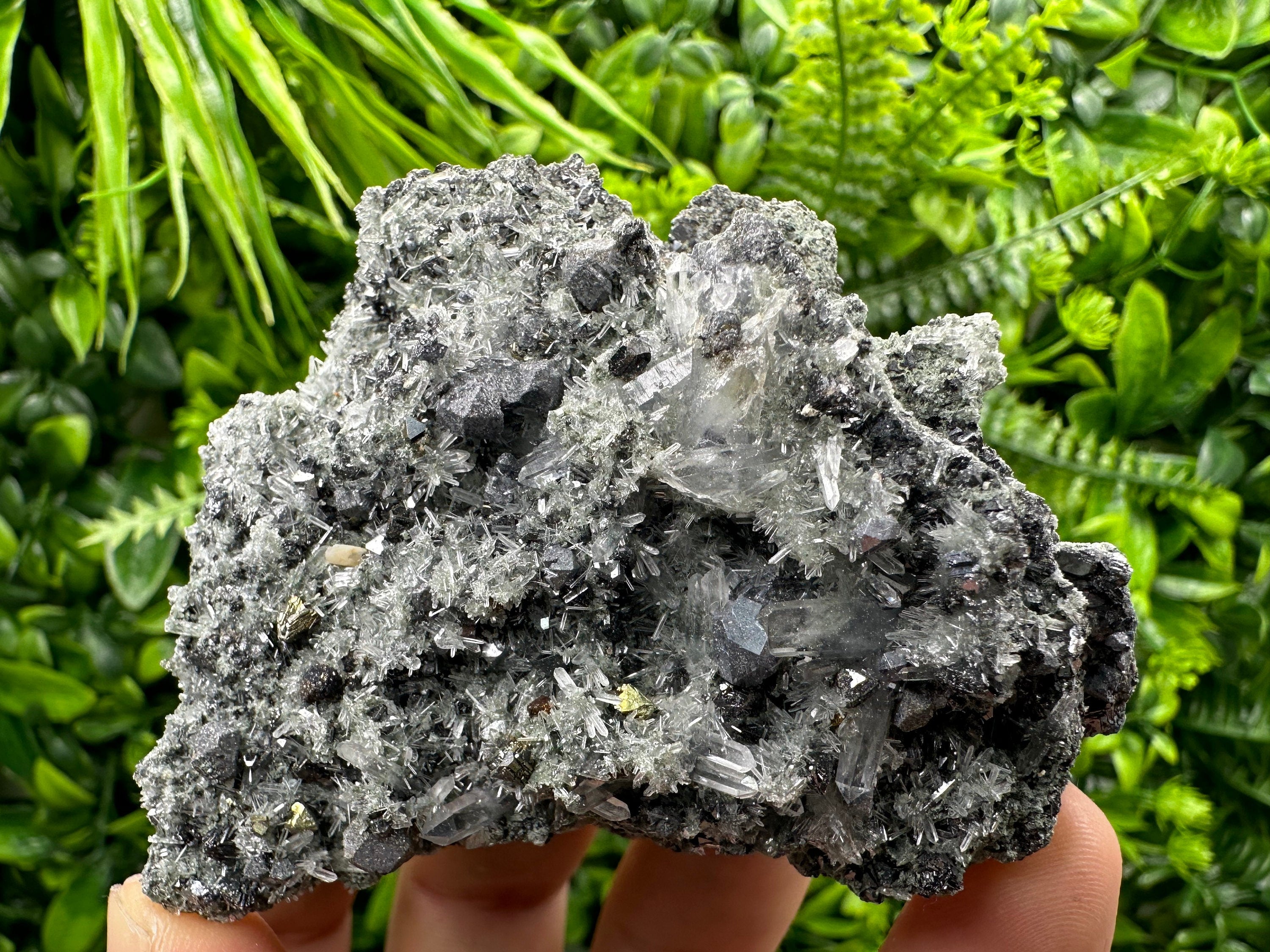 Chalcopyrite Galena on Quartz with Chlorite, Bulgaria Mineral Specimen