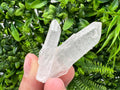 Wonderful Transparent Quartz on Chlorite Matrix,From Borieva mine,Madan,Bulgaria,Quartz,Quartz crystal,mineral specimen,collection quartz
