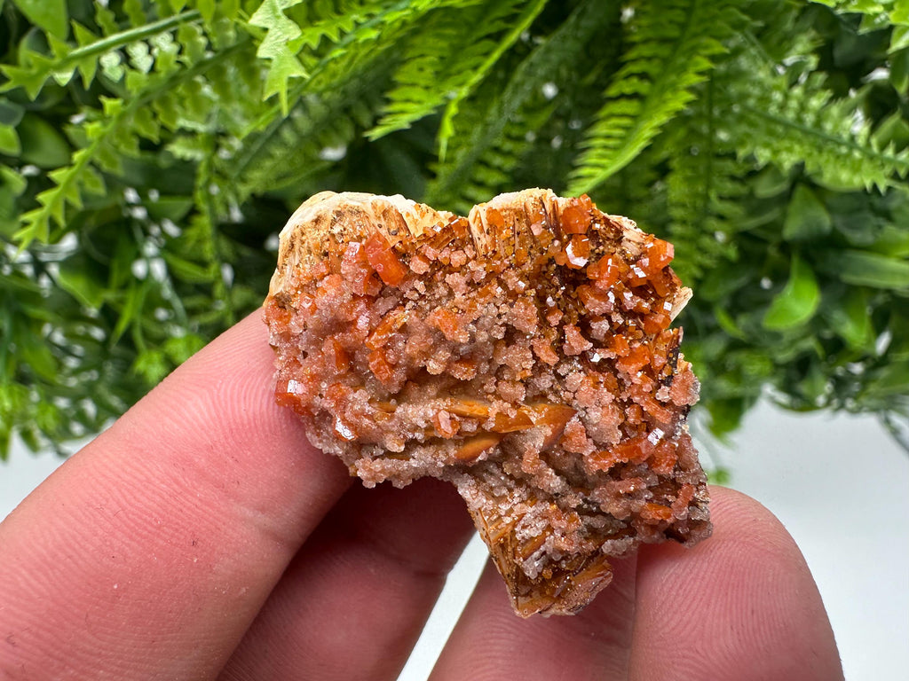 Red Vanadinite on Barite, Morocco Mineral Specimen Cluster