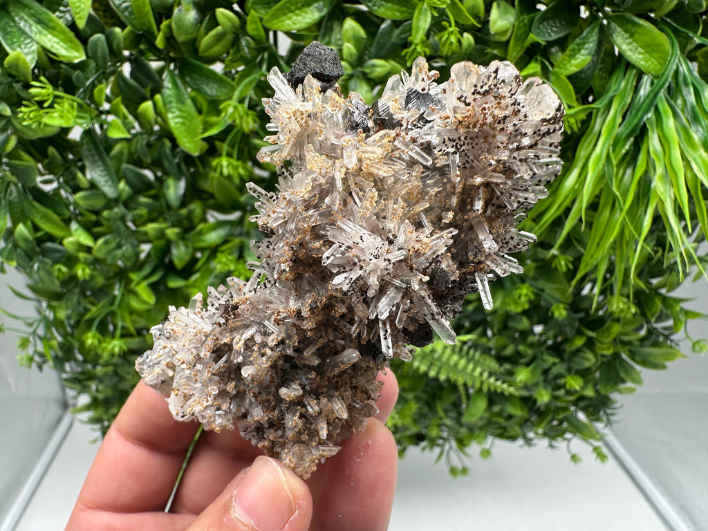 Wonderful Sphalerite Chalcopyrite on  Quartz whit Hematite feom 9 th September mine,Bulgaria,natural,collection mineral specimen,gift