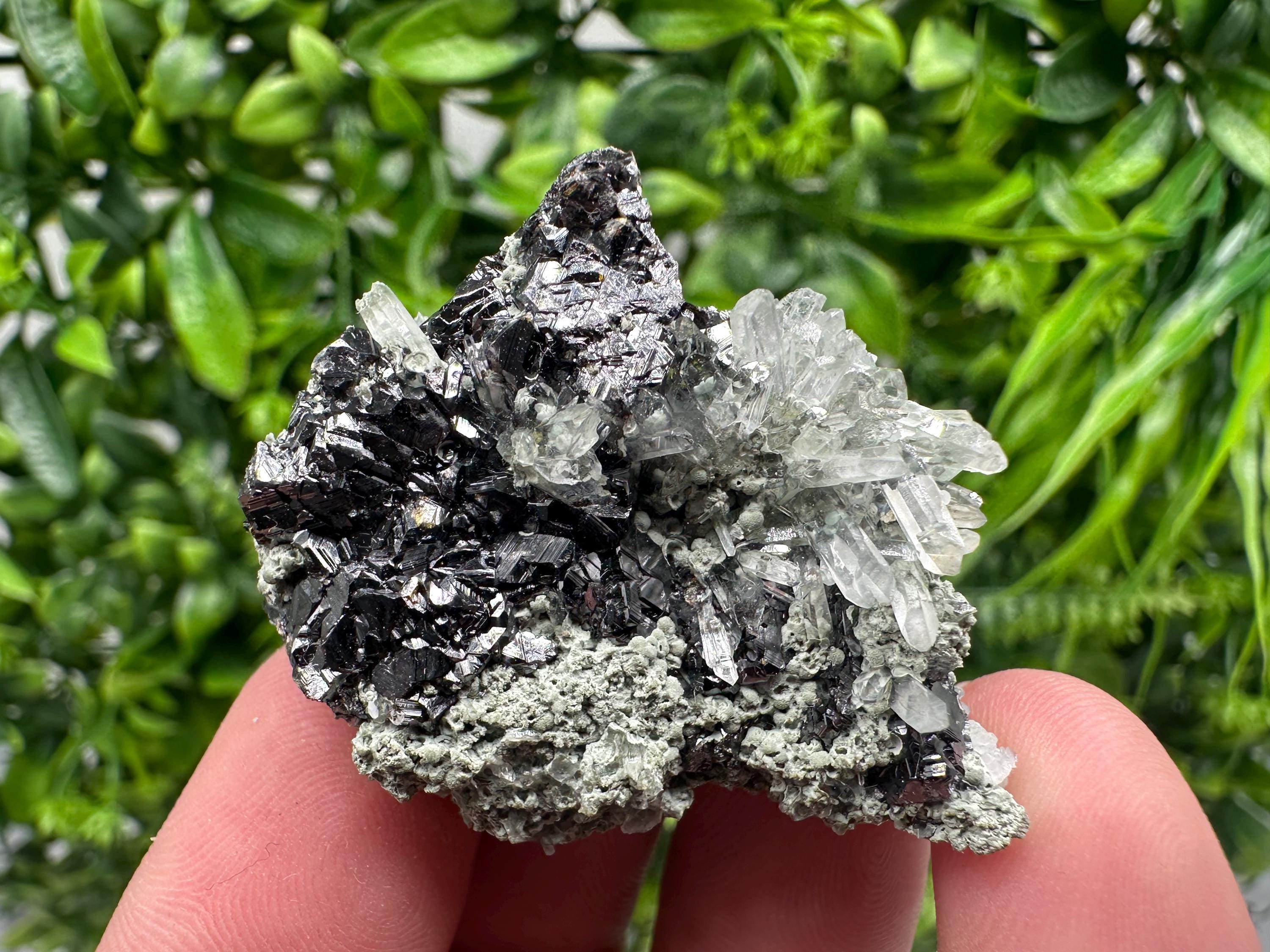 Aesthetic bigger Sphalerite whit Chlorite from Borieva mine Madan Bulgaria natural minerals souvenir crystal gift home decor stone rock