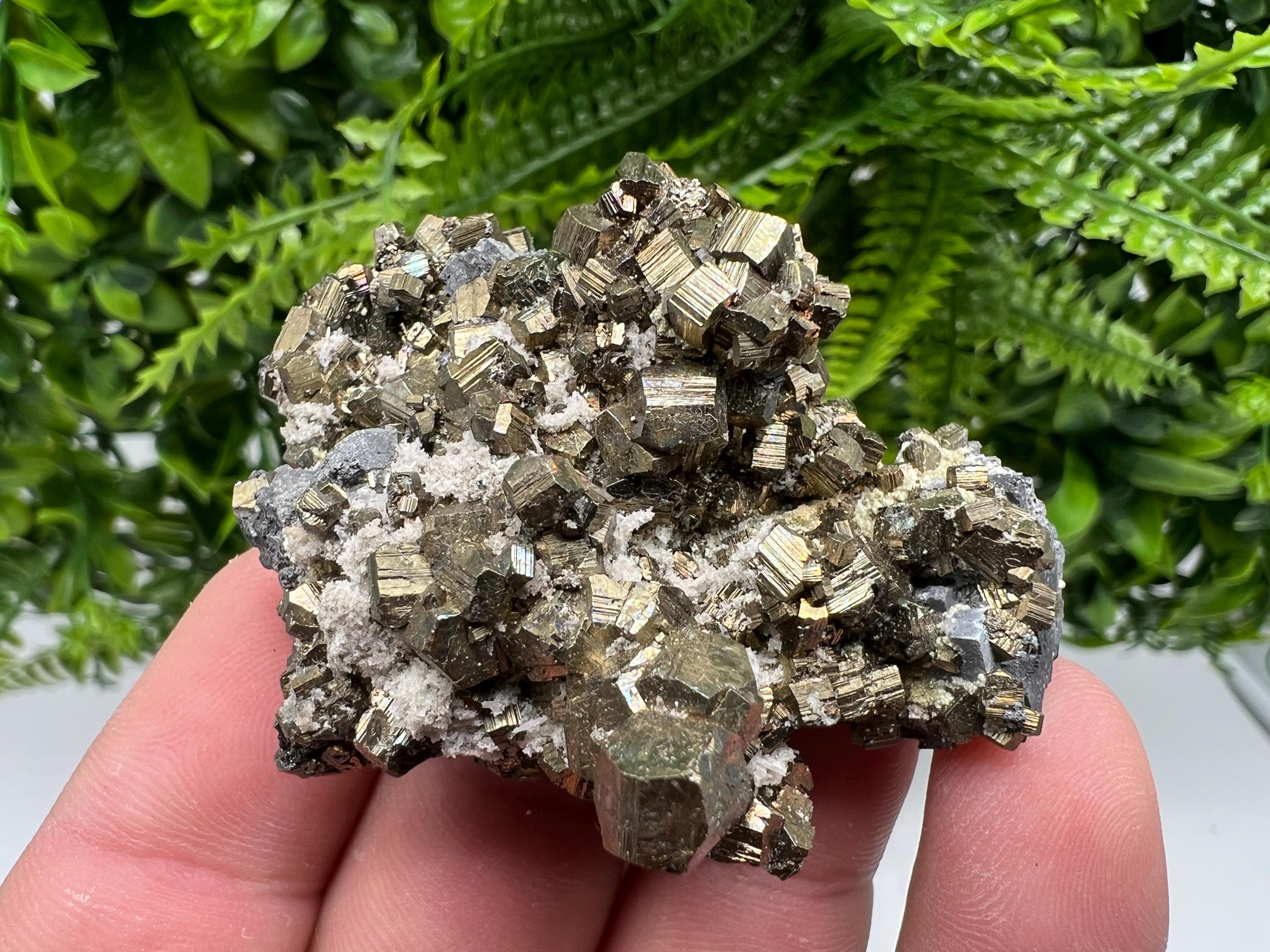 Rare Pyrite Cluster: Golden Rainbow Crystallization, Borieva Mine