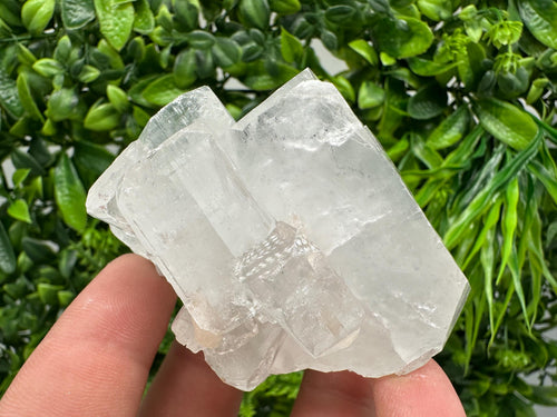 Apophyllite Stilbite on Chalcedony, India Crystal Mineral Specimen