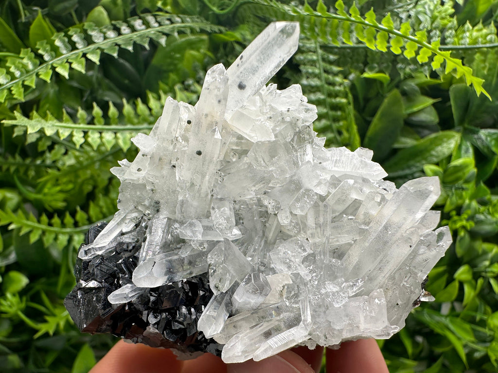 Quartz Cluster with Black Sphalerite, Krushev dol Bulgaria