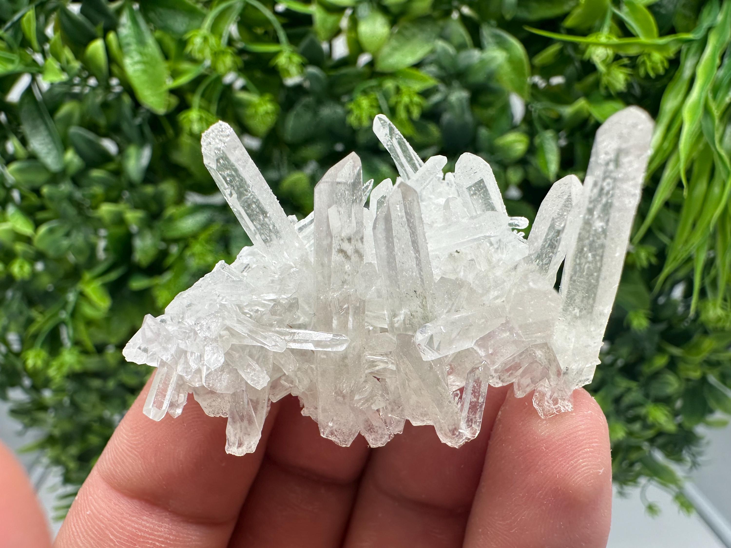 Transparent Quartz on Chlorite Matrix, Borieva Mine, Bulgaria