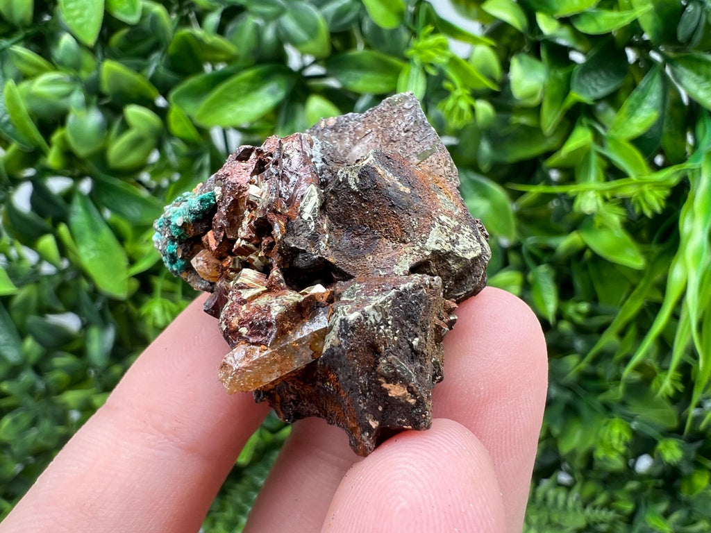 Malachite on Chalcopyrite Mineral Specimen: 9th September Mine, Bulgaria