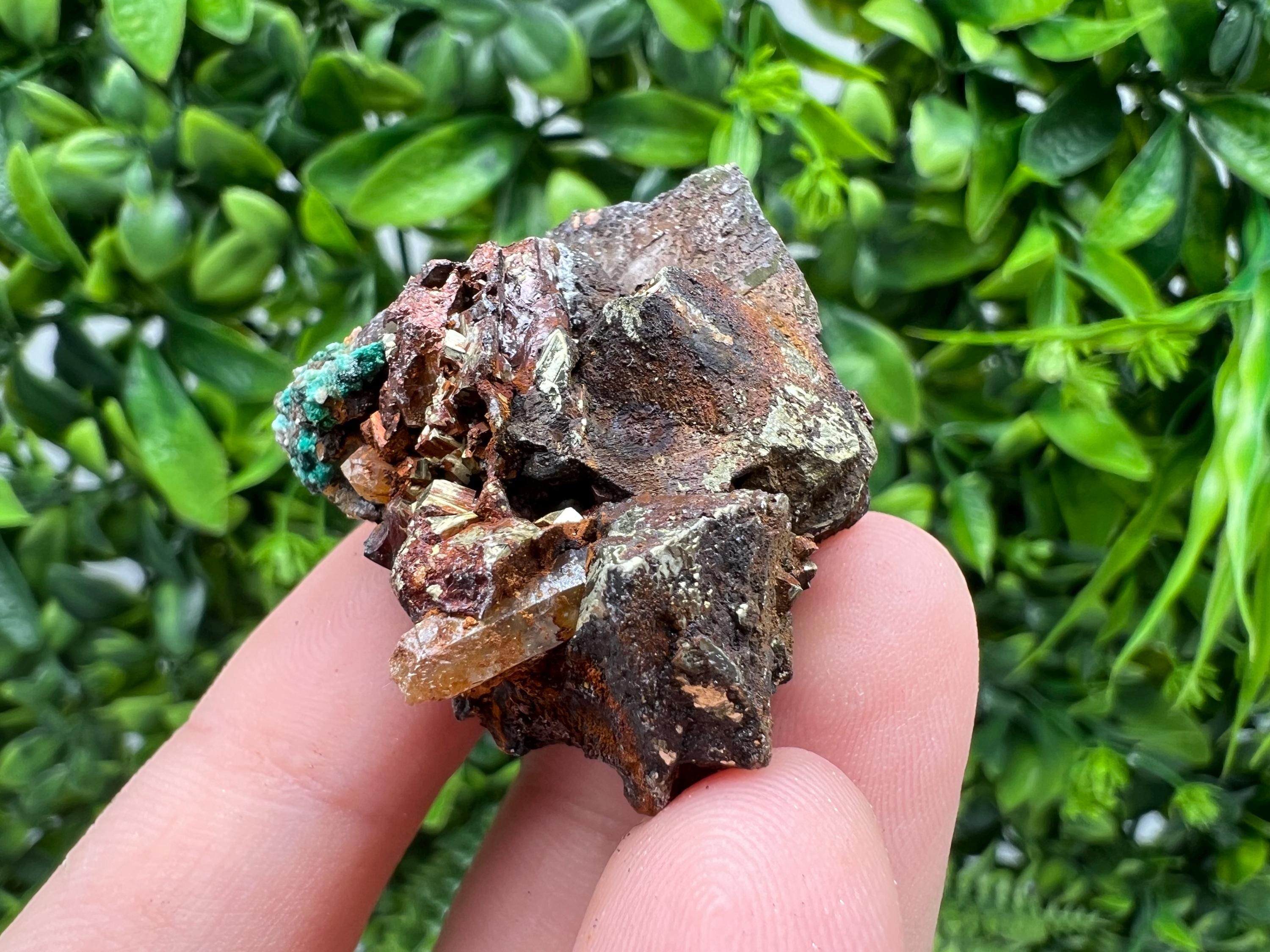 Malachite on Chalcopyrite Mineral Specimen: 9th September Mine, Bulgaria