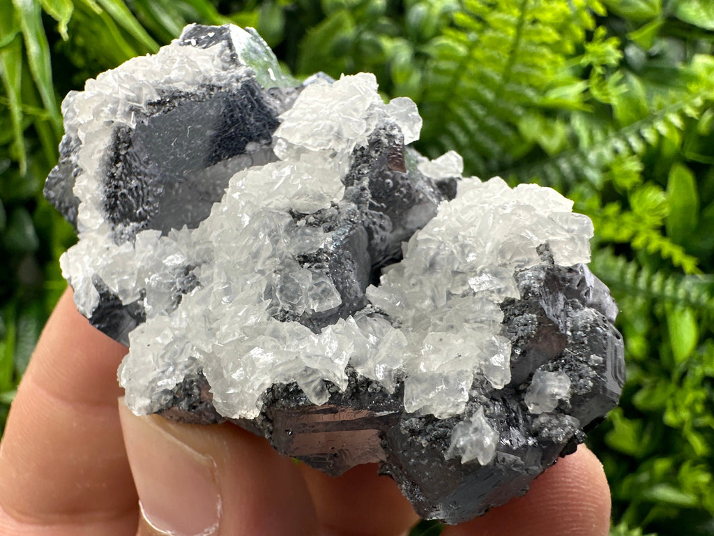 Galena with Calcite Cluster, Batantci Mine Mineral Specimen
