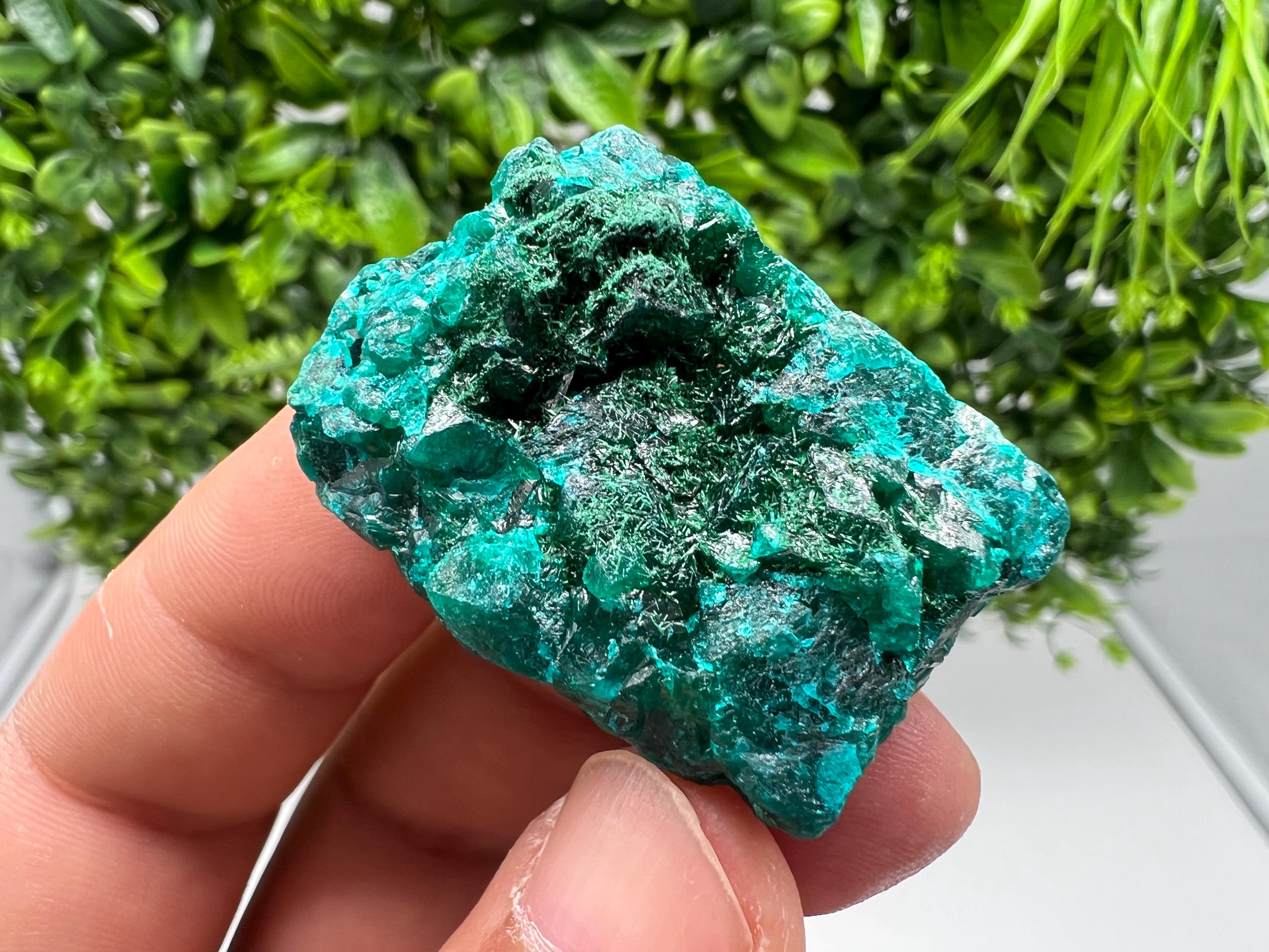 Stunning Green Dioptase from Sanda Hills,Mindouli,Pool Department,Mindouli District,Congo,green Dioptase,Dioptas Crystal,Dioptase collecting