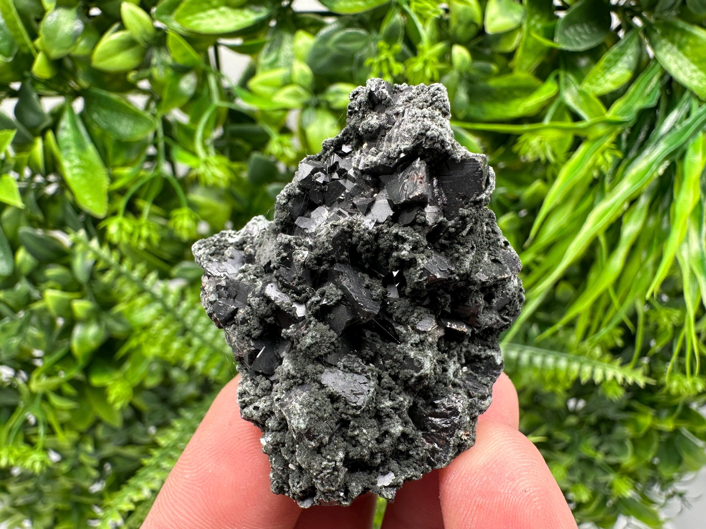 Sphalerite Galena with Chlorite Mineral Specimen, Bulgaria
