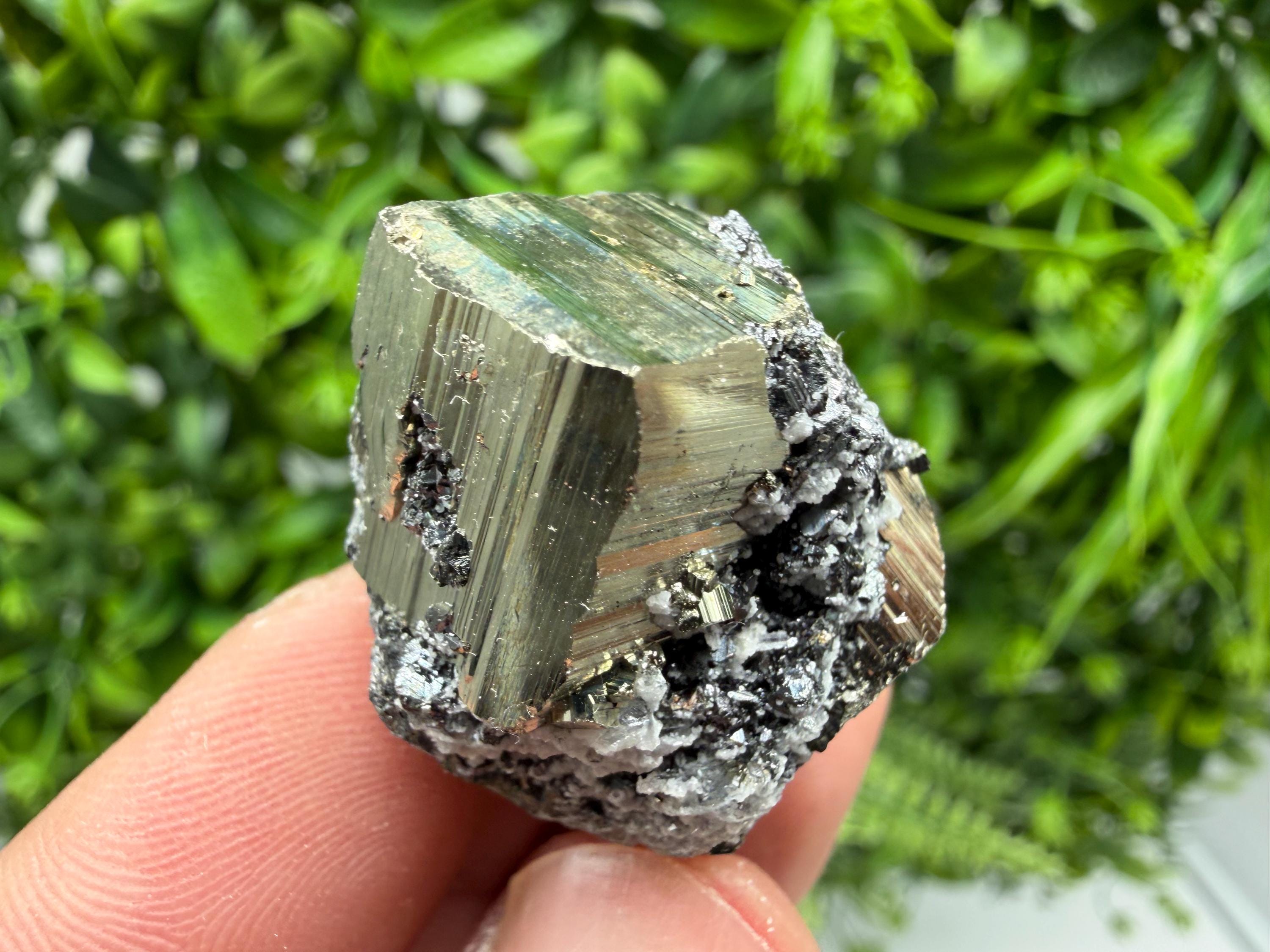 Pyrite Sphalerite Quartz  Mineral Specimen, Krushev dol Mine