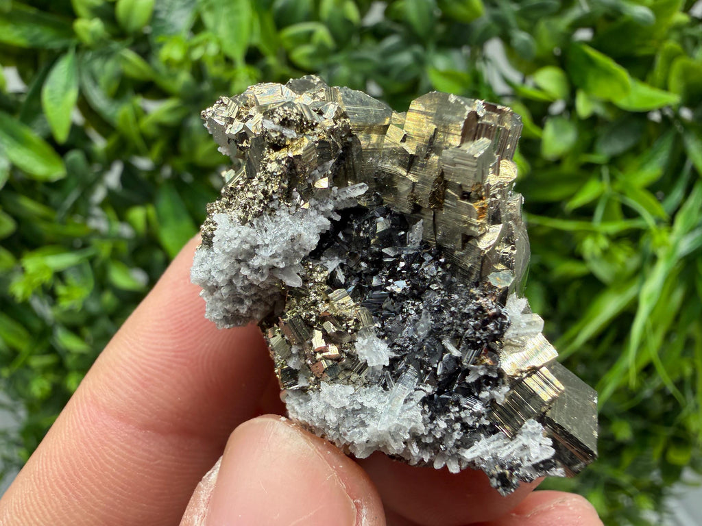 Pyrite Sphalerite Quartz  Mineral Specimen, Krushev dol Mine