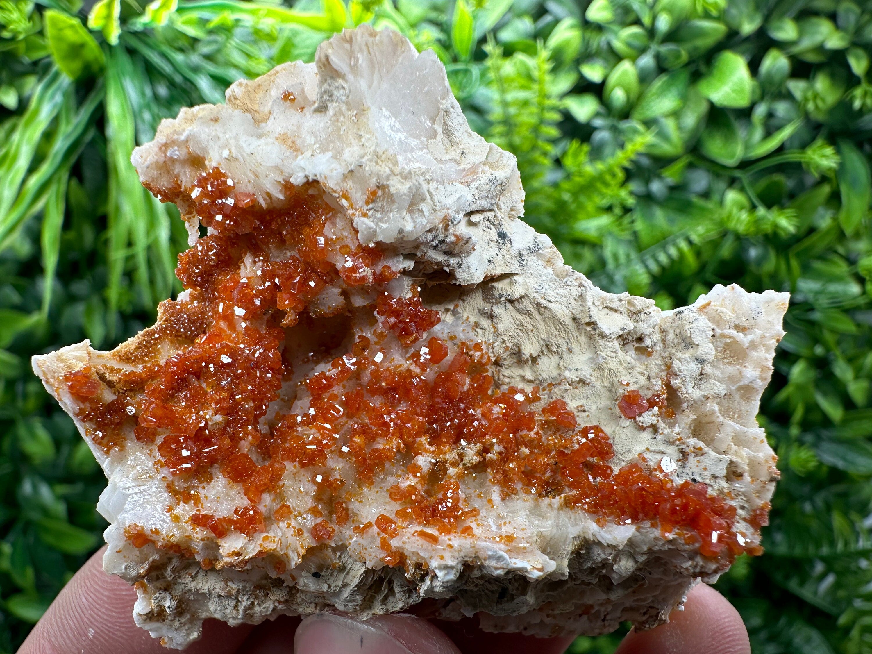 Red Vanadinite Crystal Cluster on Matrix, Morocco Mineral Specimen