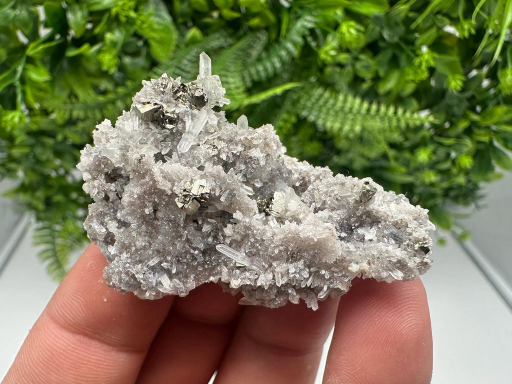 Pyrite on Green Quartz Mineral Specimen, Borieva Mine Bulgaria