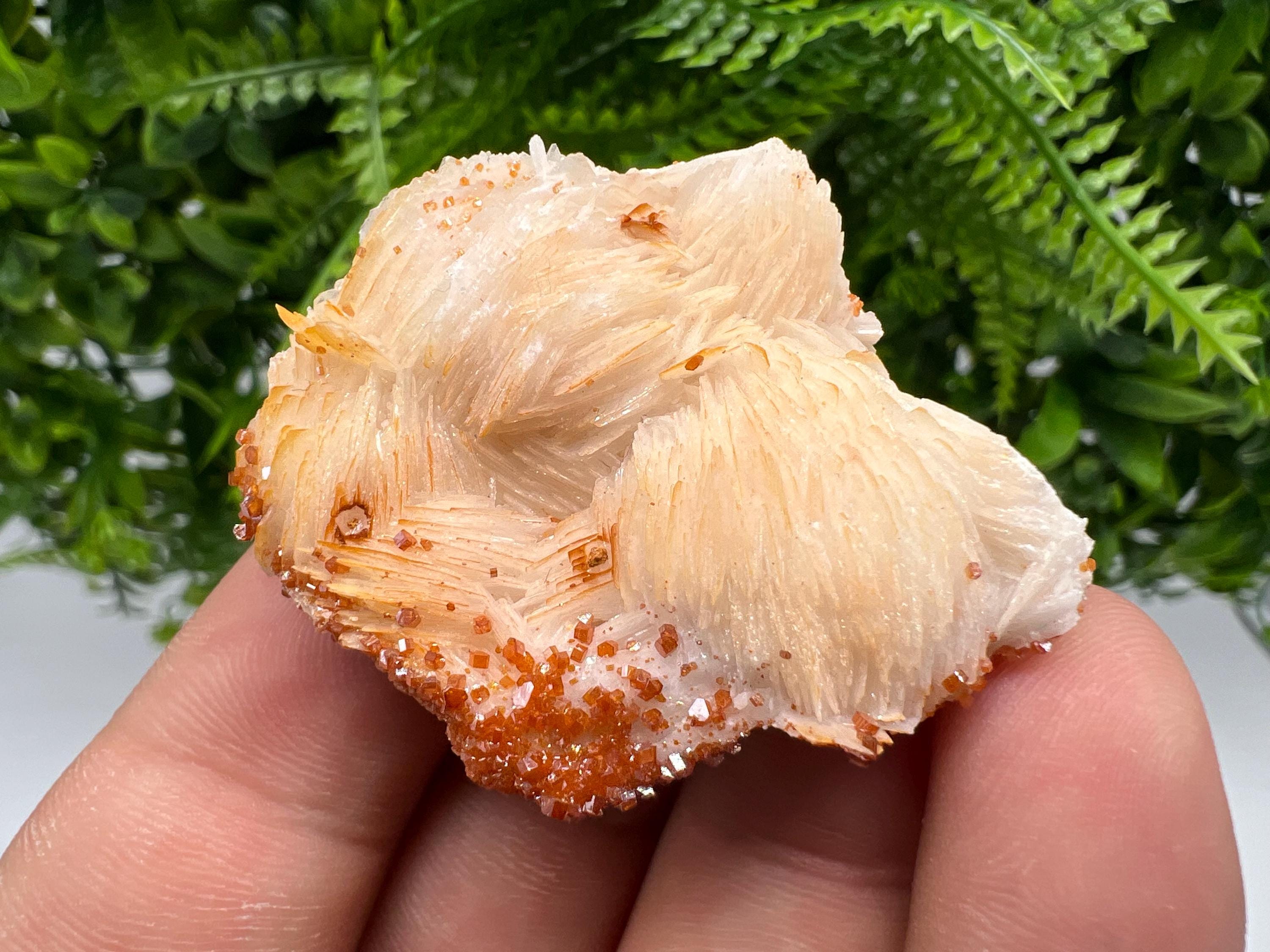 Red Vanadinite on Barite from Marocco,crystal minerals Speciment cluster Vanadinite crystal Vanadinite Geology Vanadinite cluster minerals