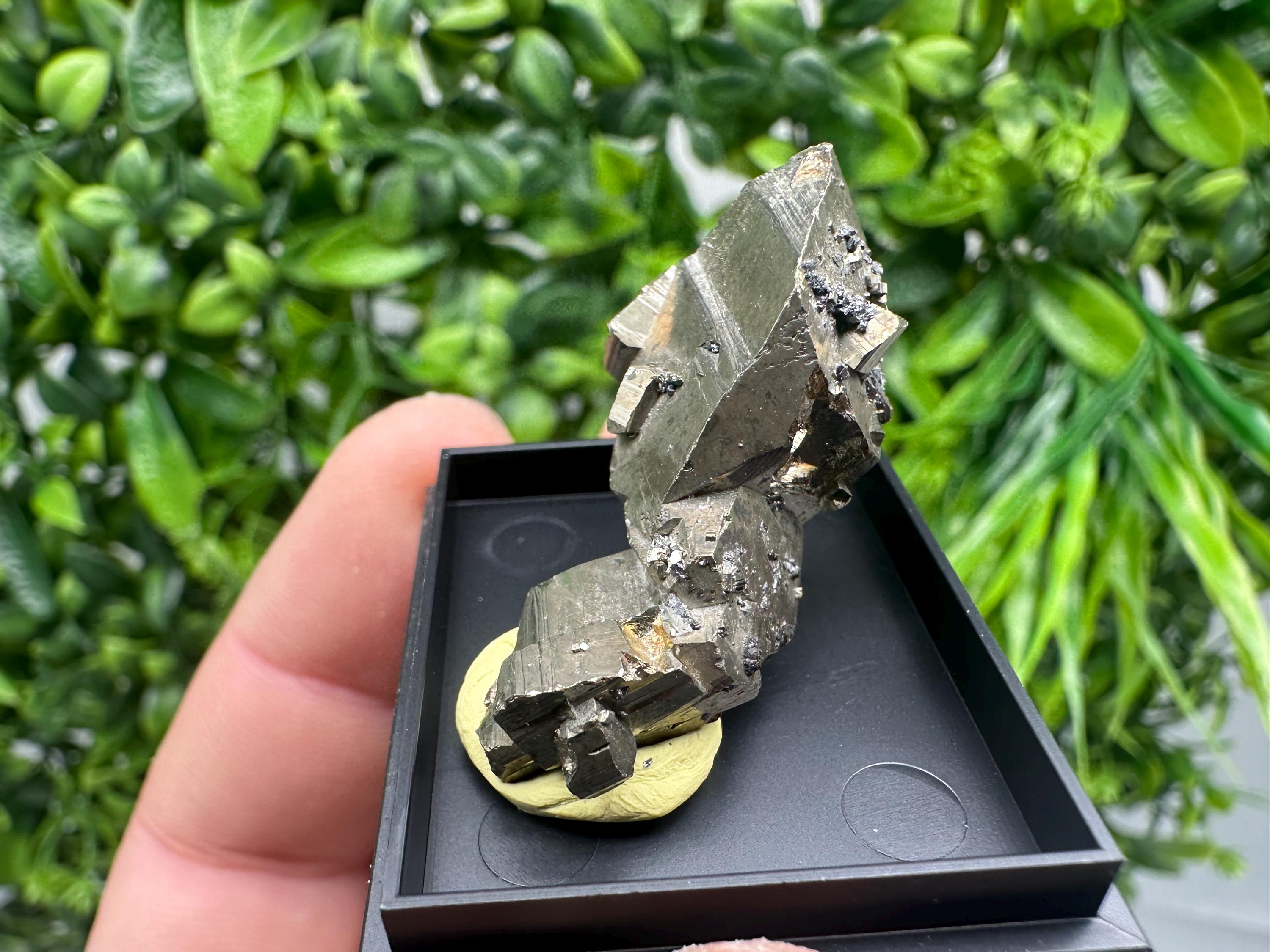 Rare Crystallized Pyrite Cluster - Borieva Mine, Bulgaria