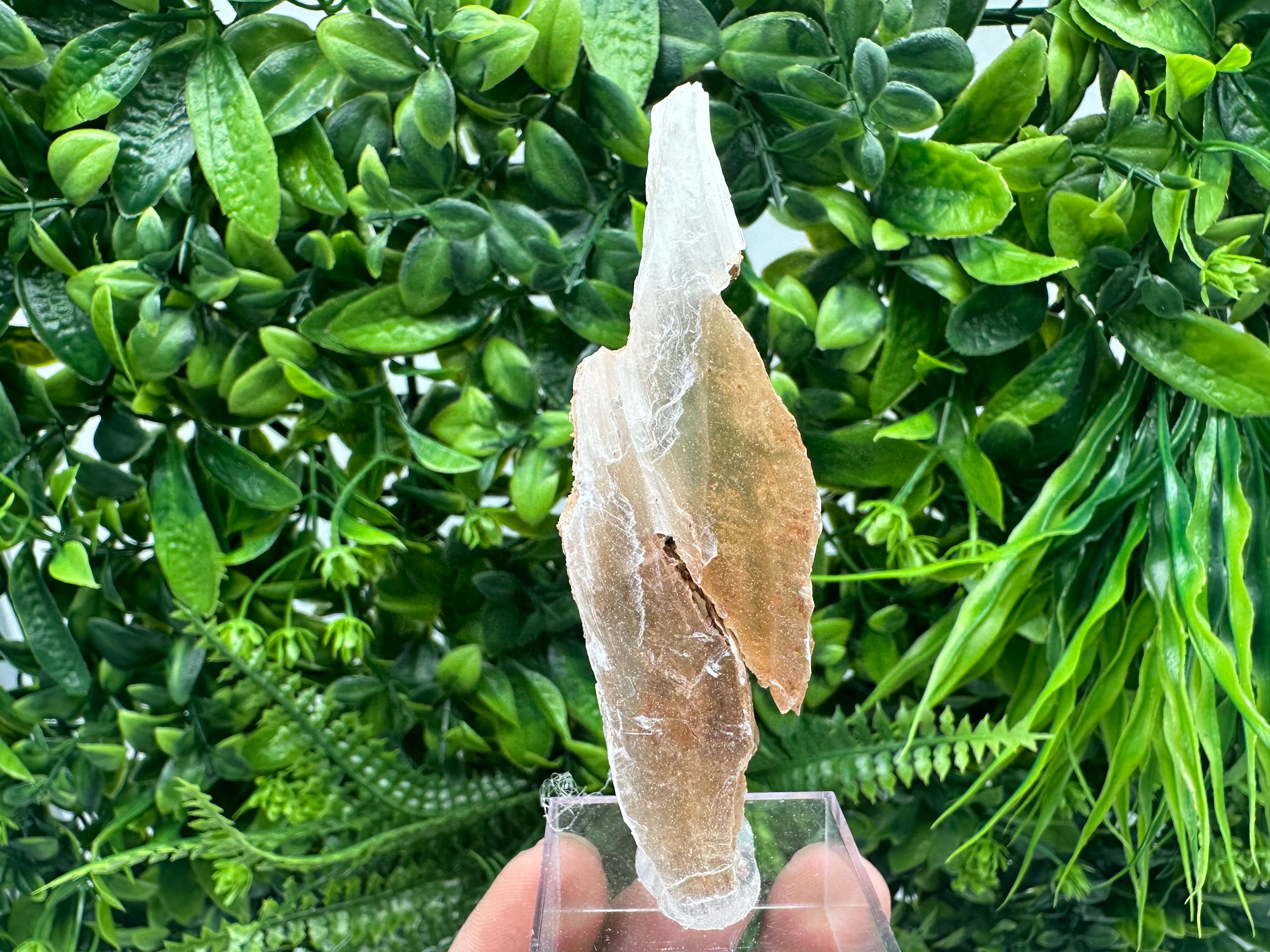 Golden Phantom Selenite Slab: Raw Utah Fishtail Selenite Wand