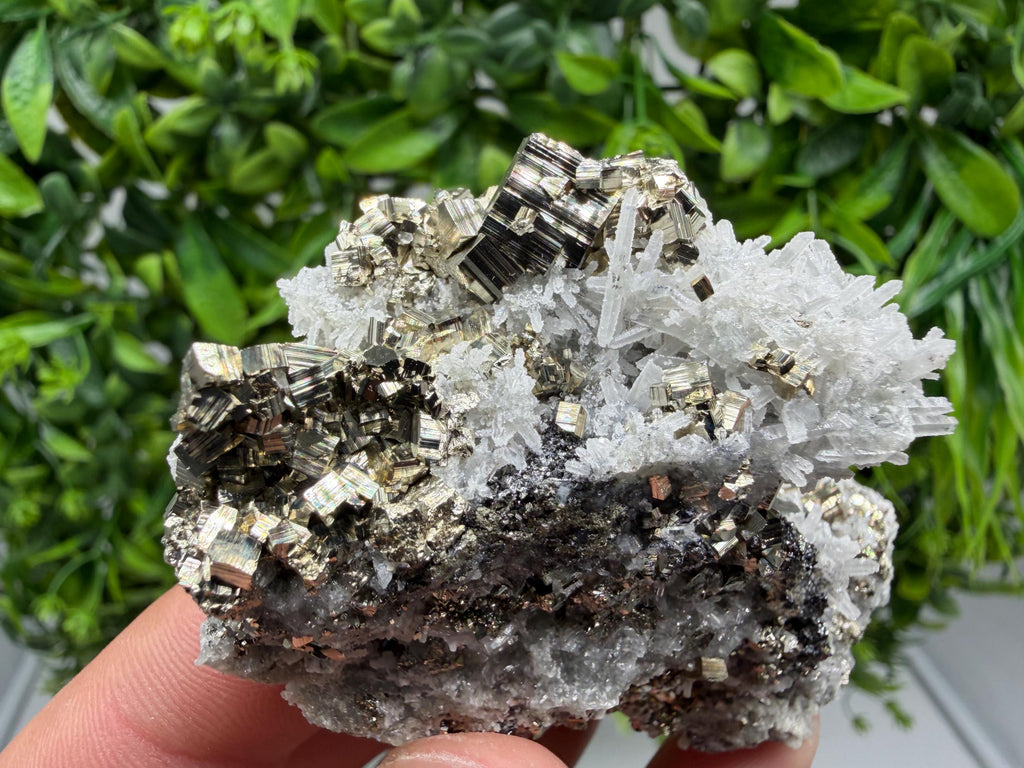 Pyrite Sphalerite Quartz  Mineral Specimen, Krushev dol Mine