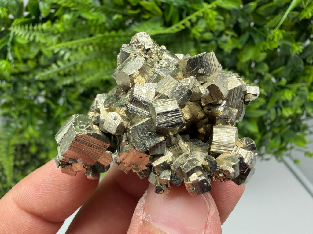 Rare Mini Pyrite Cluster: Golden Rainbow Crystallization from Borieva Mine