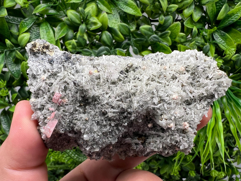 Rainbow Pyrite on Quartz with Oxide, Borieva Bulgaria