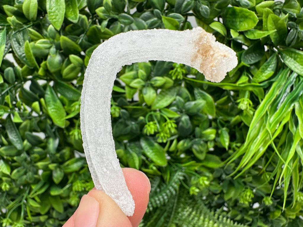 White Selenite Gypsum "Ram's Horn'' Selenite,from Guizhou,China,perfect Shape and Luster,Fluorescent Selenite Gypsum,minerals specimen,colle