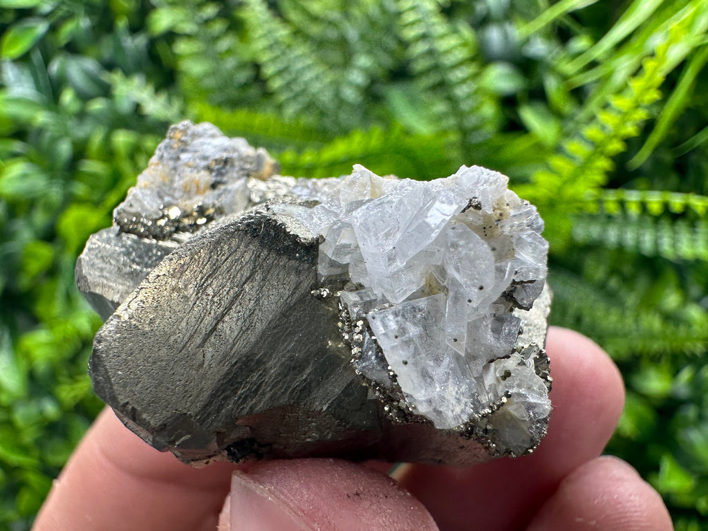 Rare Structure Pyrite (Marcazite) Mineral Specimen