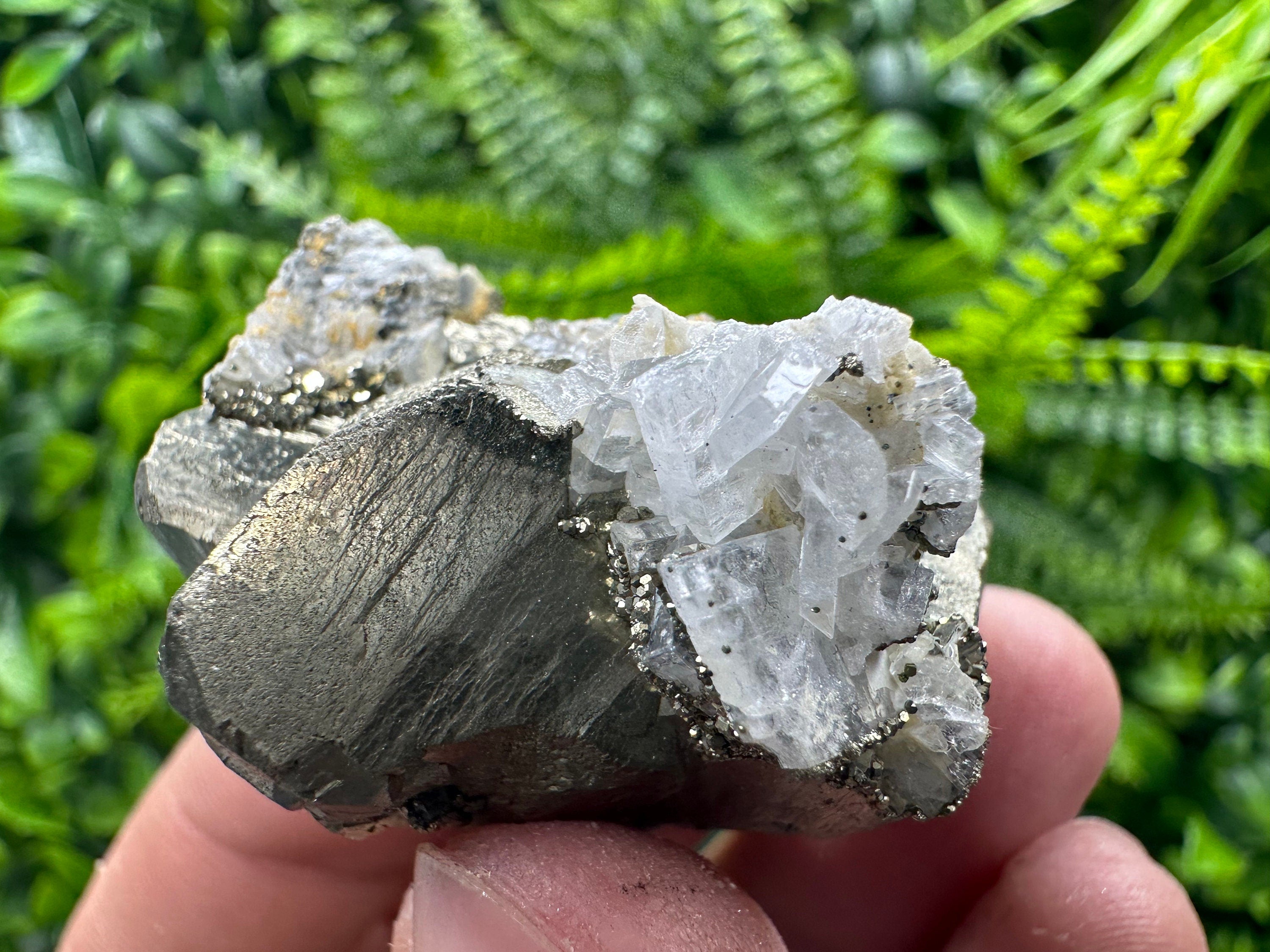 Rare Structure Pyrite (Marcazite) Mineral Specimen