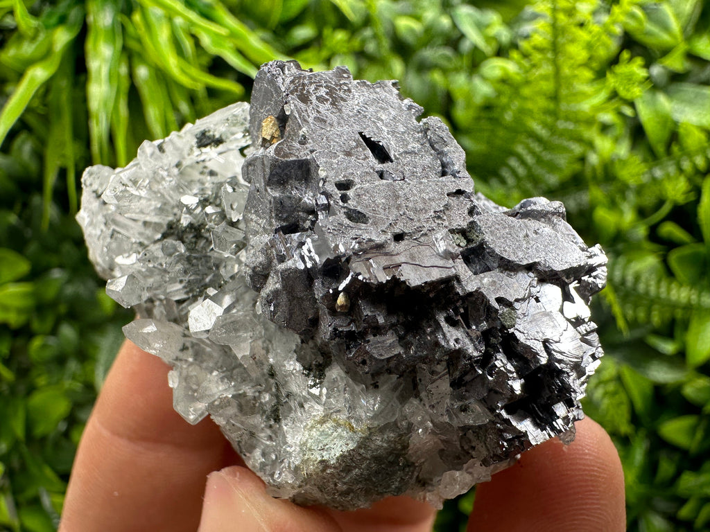 Quartz and Galena Mineral Specimen: Borieva Mine, Bulgaria