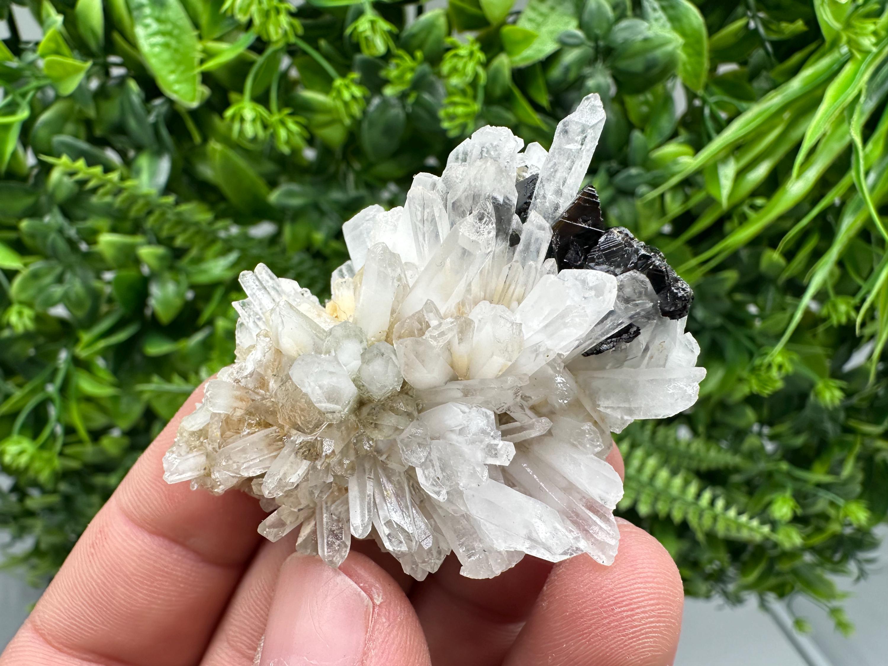 Quartz Sphalerite Chalcopyrite Mineral Specimen, Madan Bulgaria
