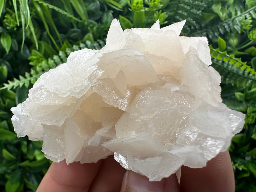 Rare Mangano Calcite Cluster: Borieva Mine, Bulgaria