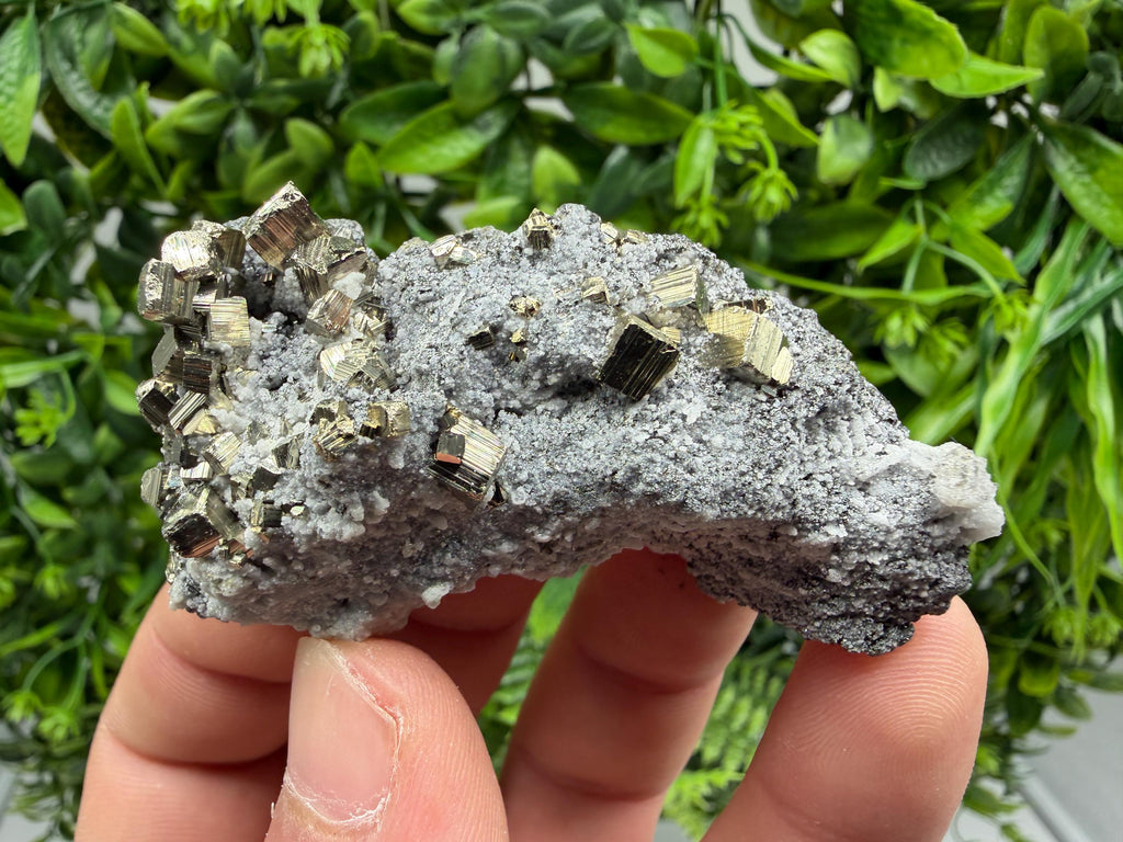 Pyrite Sphalerite Quartz  Mineral Specimen, Krushev dol Mine