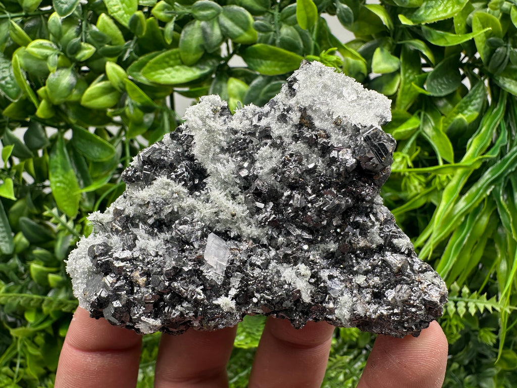 Sphalerite on Green Quartz, Madan Bulgaria, Mineral Specimen