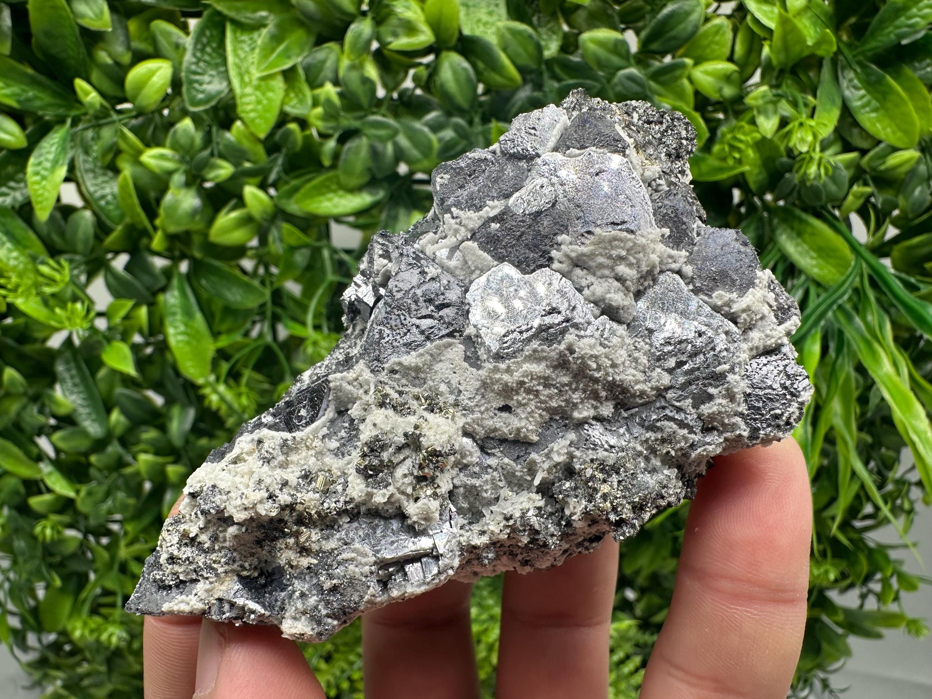 Galena with Quartz Specimen: Krushev Dol Mine, Bulgaria