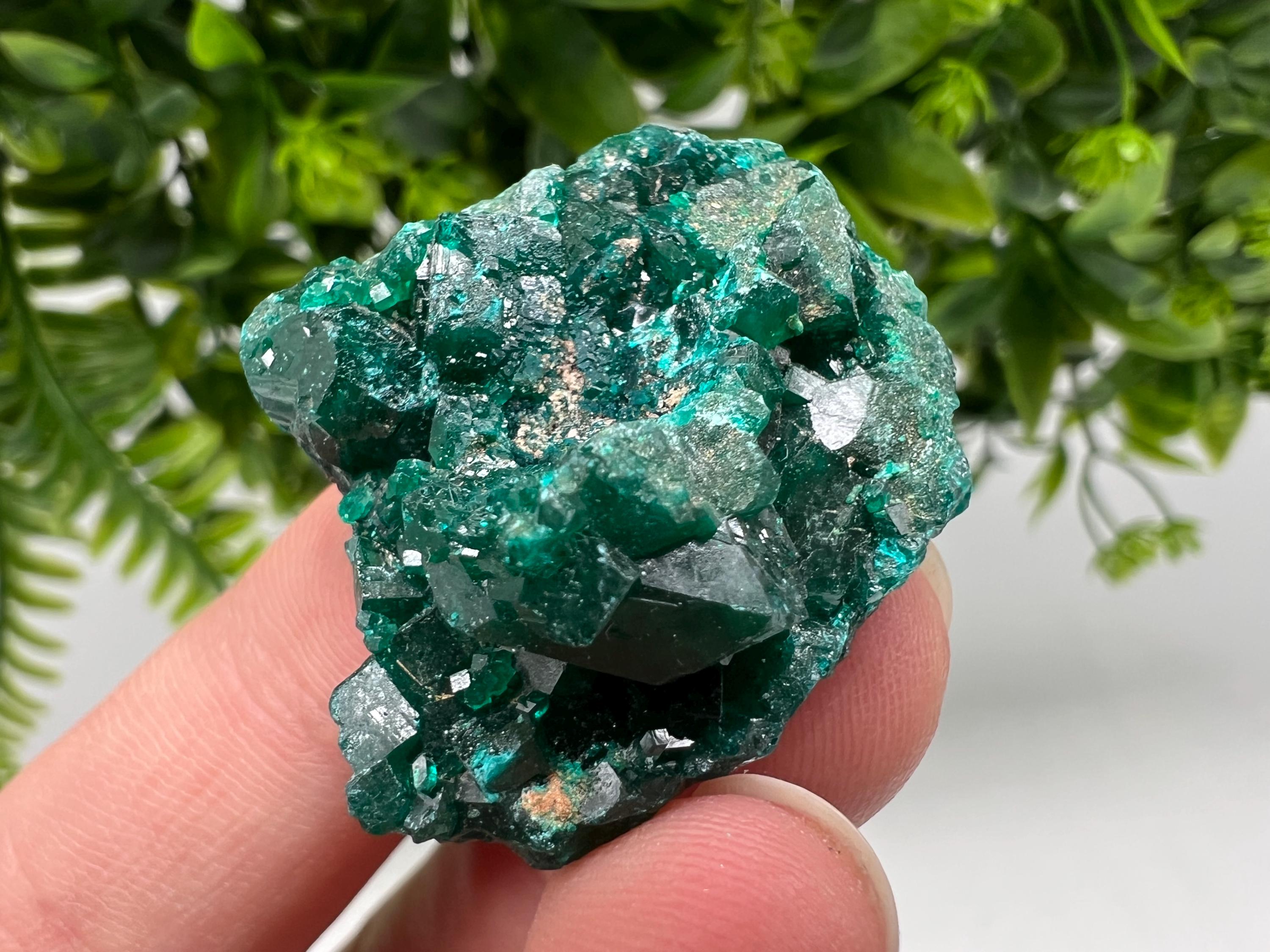 Stunning Green Dioptase from Sanda Hills,Mindouli,Pool Department,Mindouli District,Congo,green Dioptase,Dioptas Crystal,Dioptase collecting