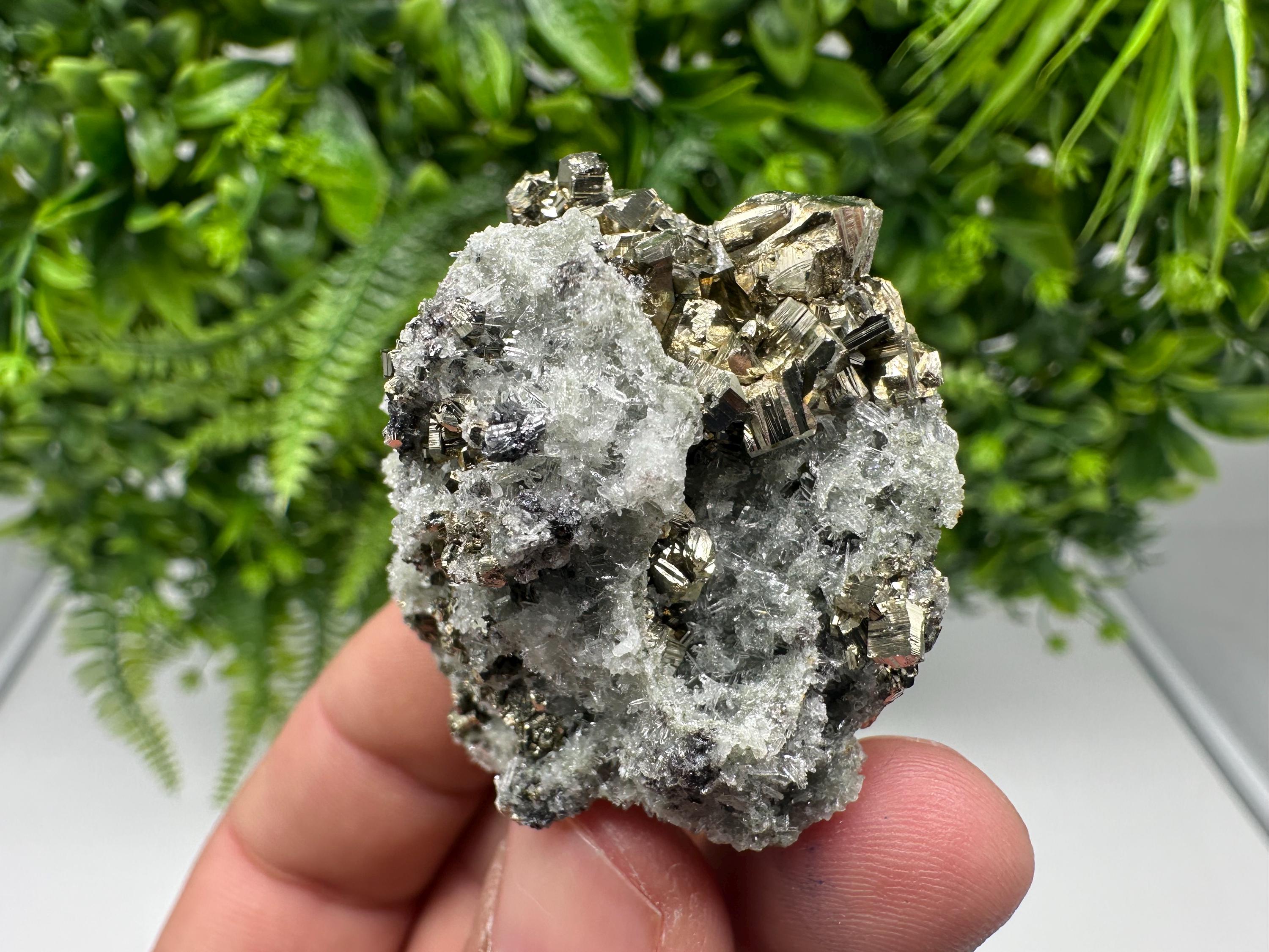 Pyrite on Green Quartz Mineral Specimen, Borieva Mine Bulgaria
