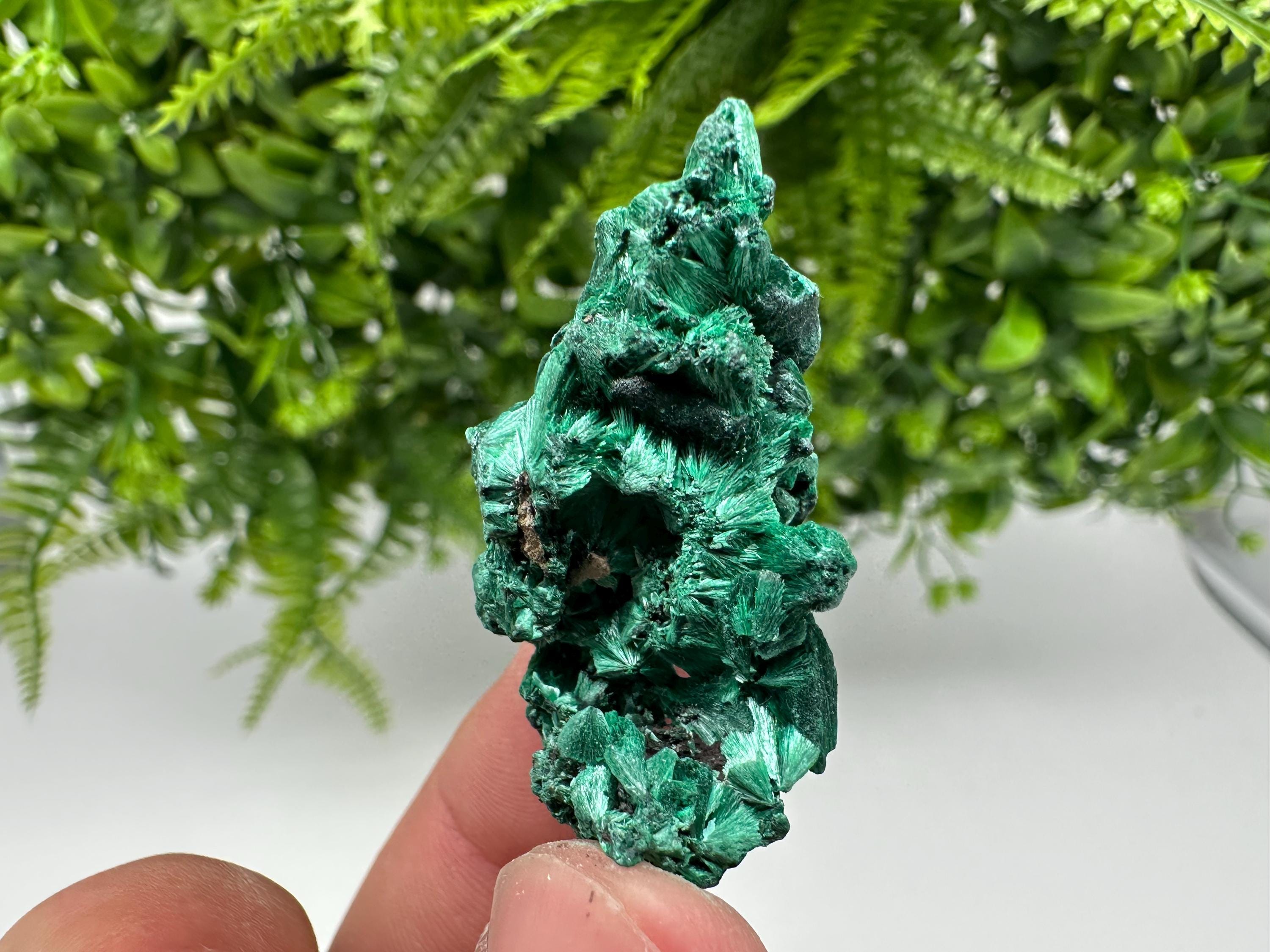 Malachite Crystal from Congo,Minerals,Crystals from Congo,Green Malachite, Malachite,Natural Malachite,Malachite Stone,Chakra, Specimens