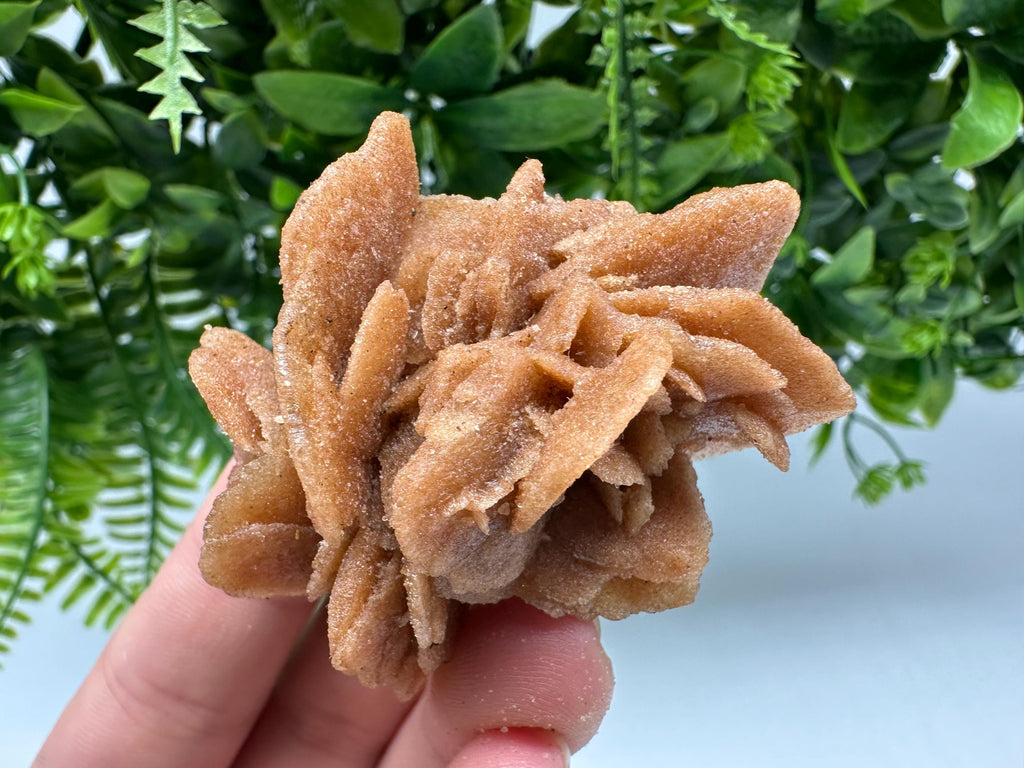 Natural Desert Rose Crystal – Root Chakra Healing Brown Selenite Stone